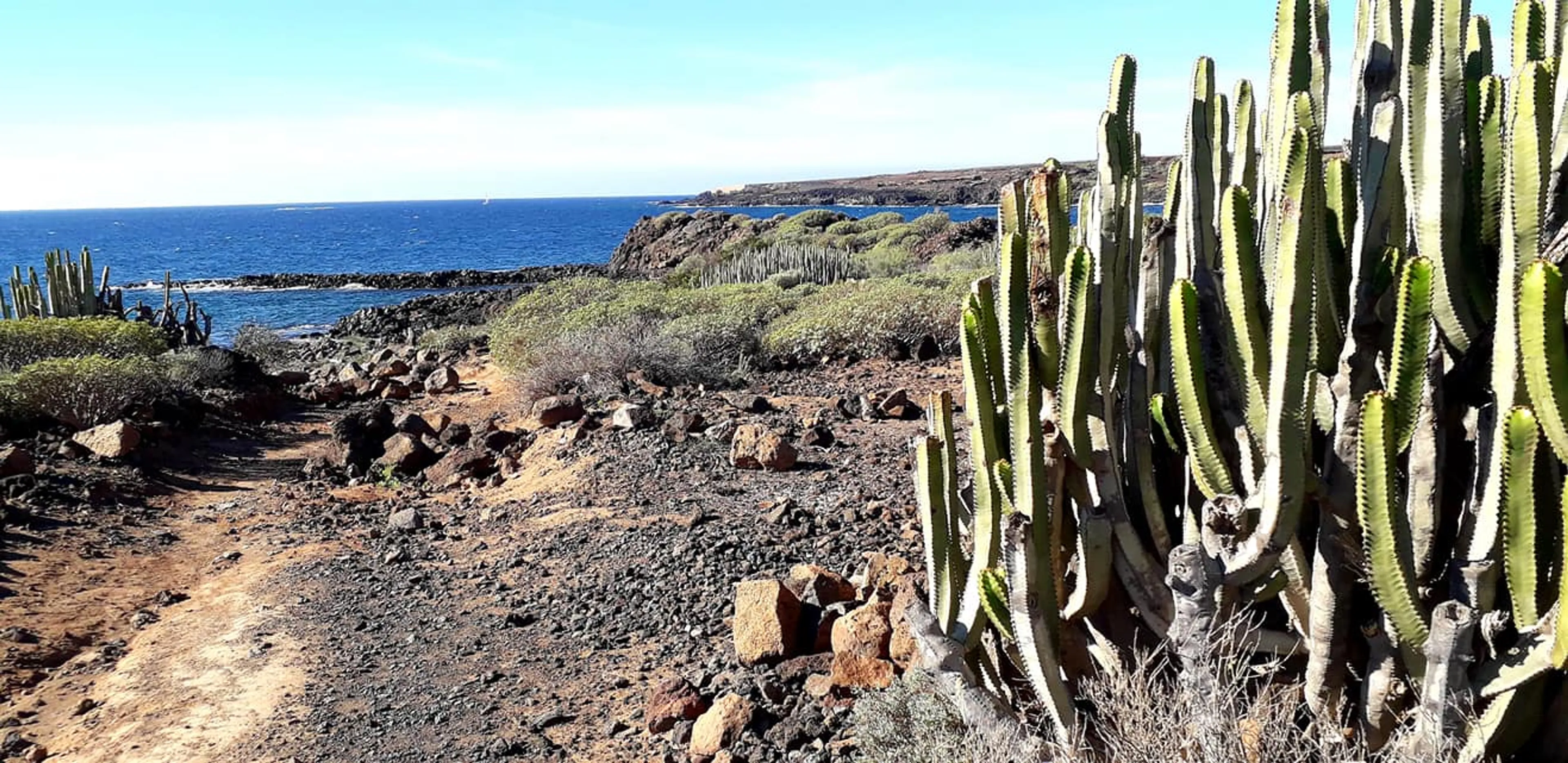 Gemeinschaftliches Surfhaus im Süden Teneriffas - 4