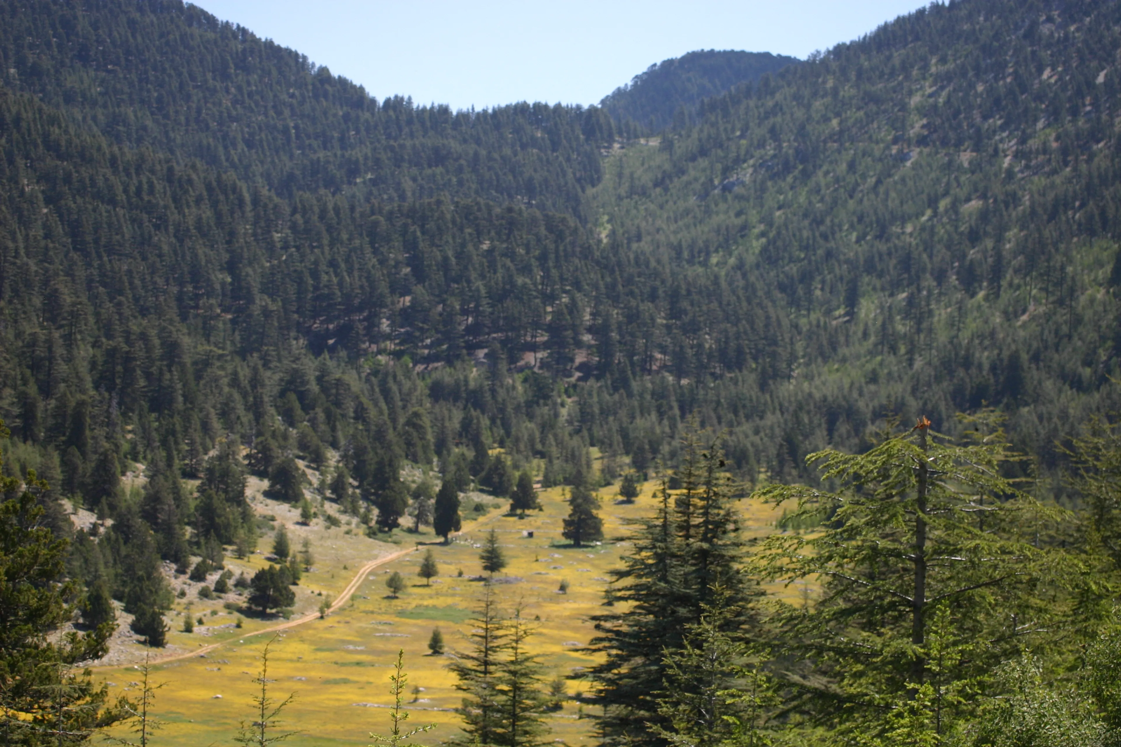 Trekkingreise auf dem facettenreichen Lykischen Weg - 4