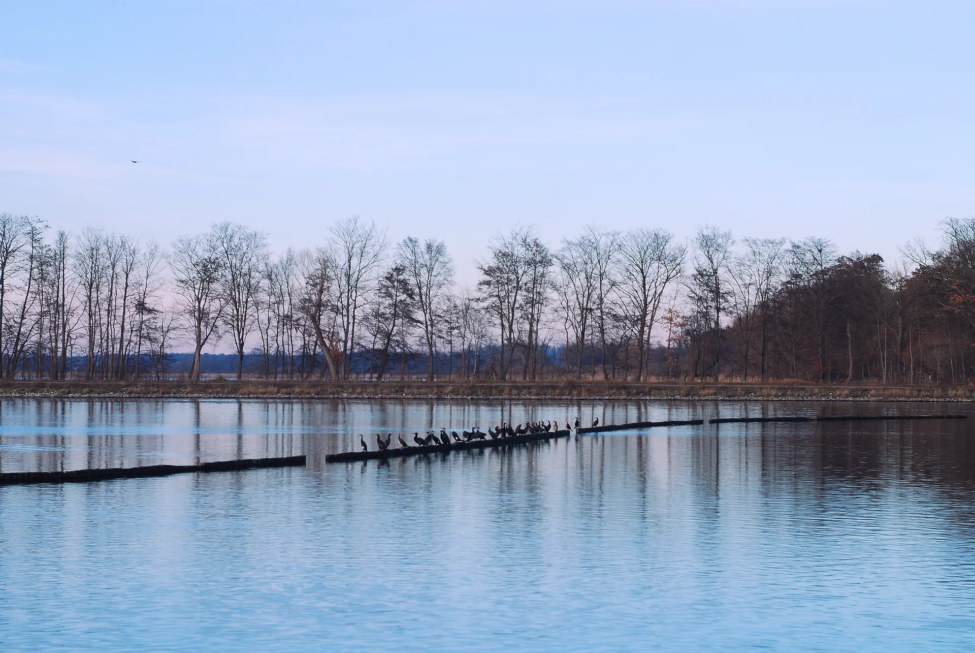 Mini-Retreat im Potsdamer Seengebiet: Yoga, Meditation & gutes Essen - 3