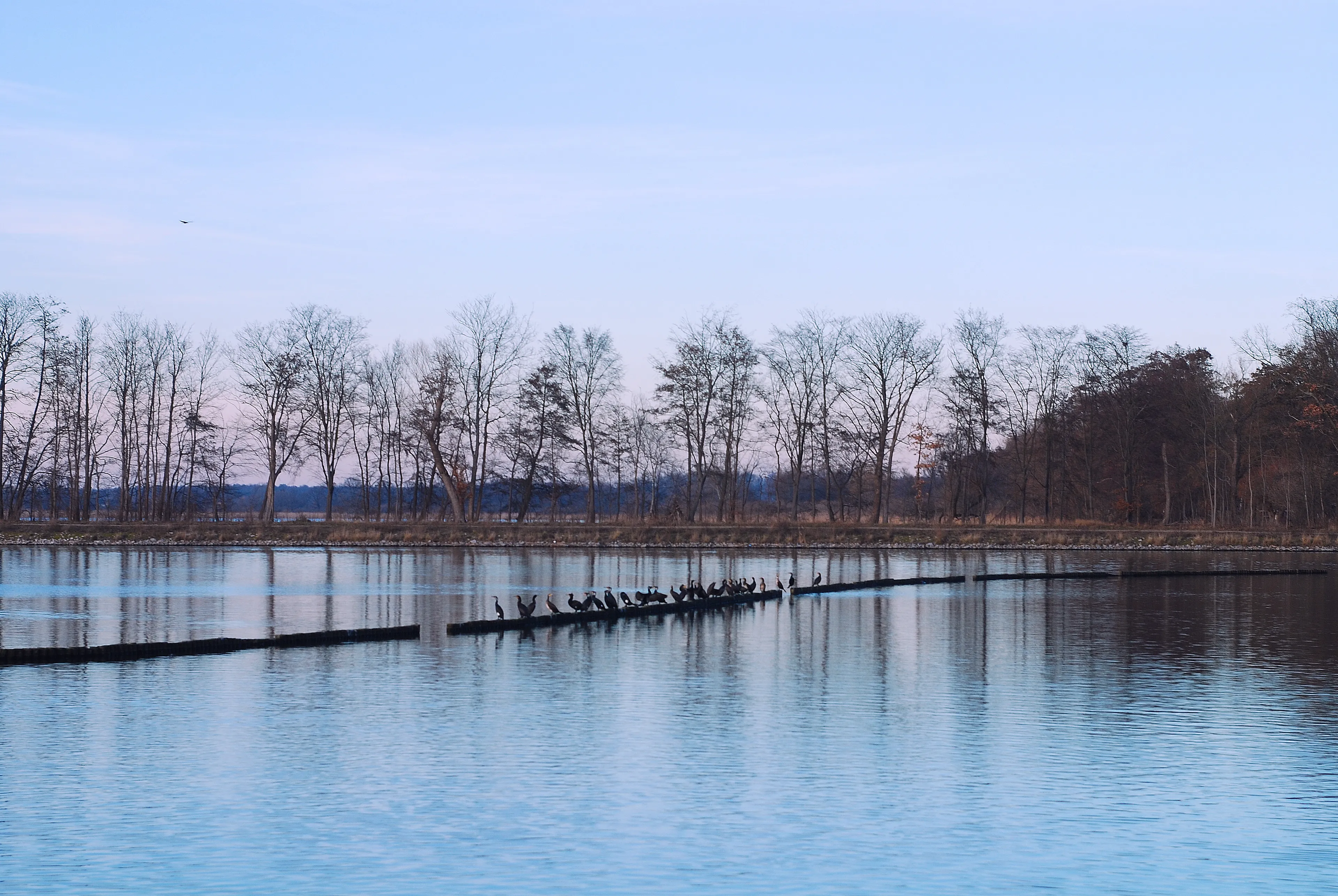 Mini-Retreat im Potsdamer Seengebiet: Yoga, Meditation & gutes Essen - 3