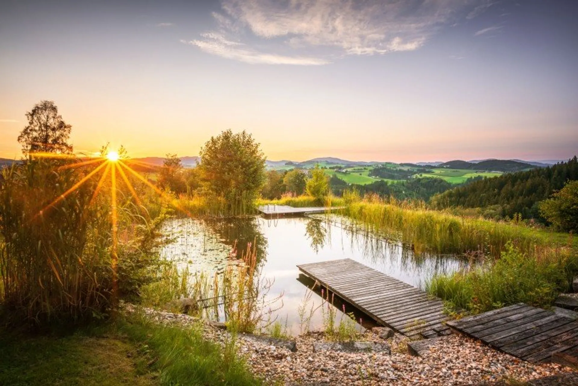 Friedliche Yoga-Auszeit inmitten Österreichs Wiesen & Wäldern - 5