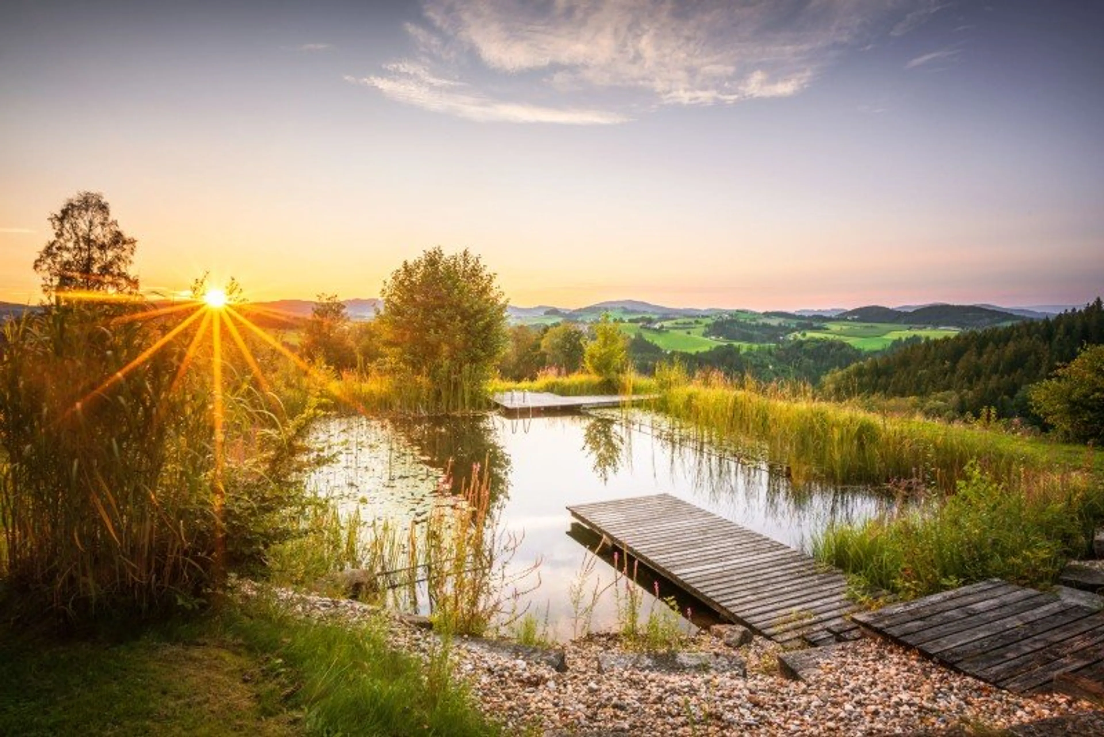 Friedliche Yoga-Auszeit inmitten Österreichs Wiesen & Wäldern - 5