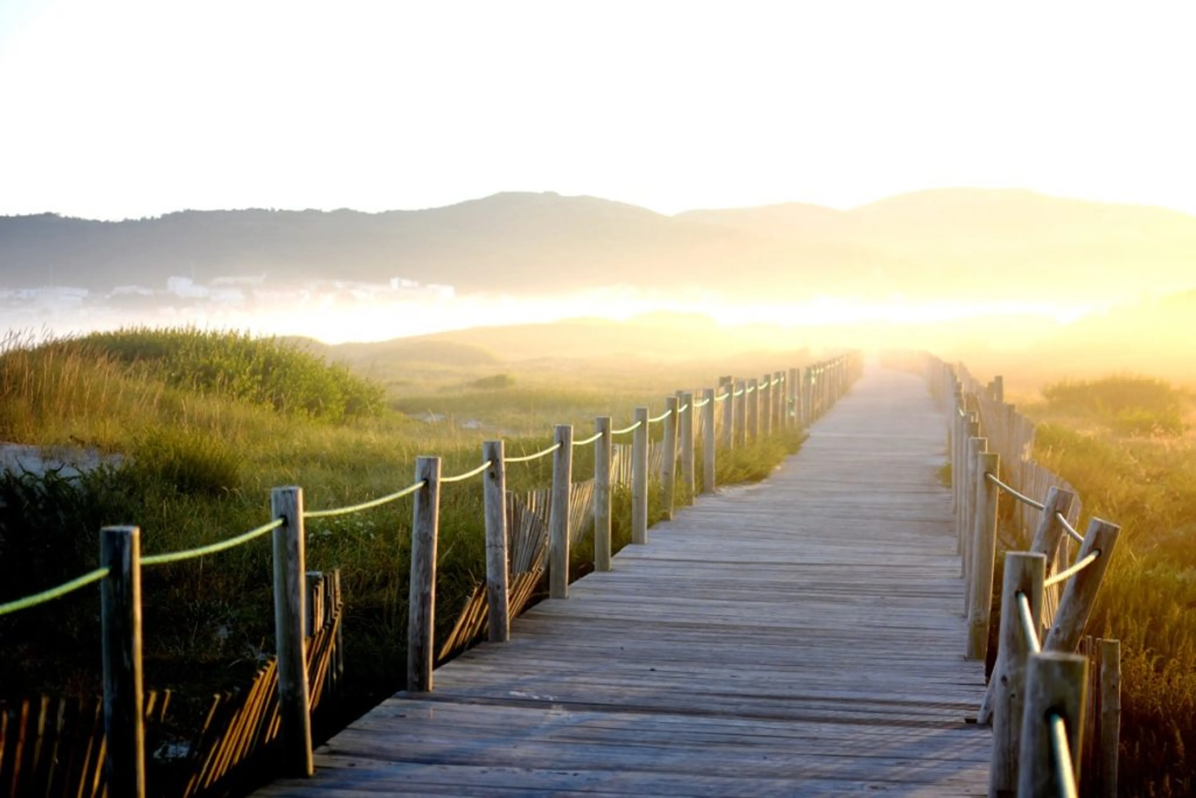 Yoga Retreat am Ozean: Dankbarkeit als Schlüssel zum Glück - 2
