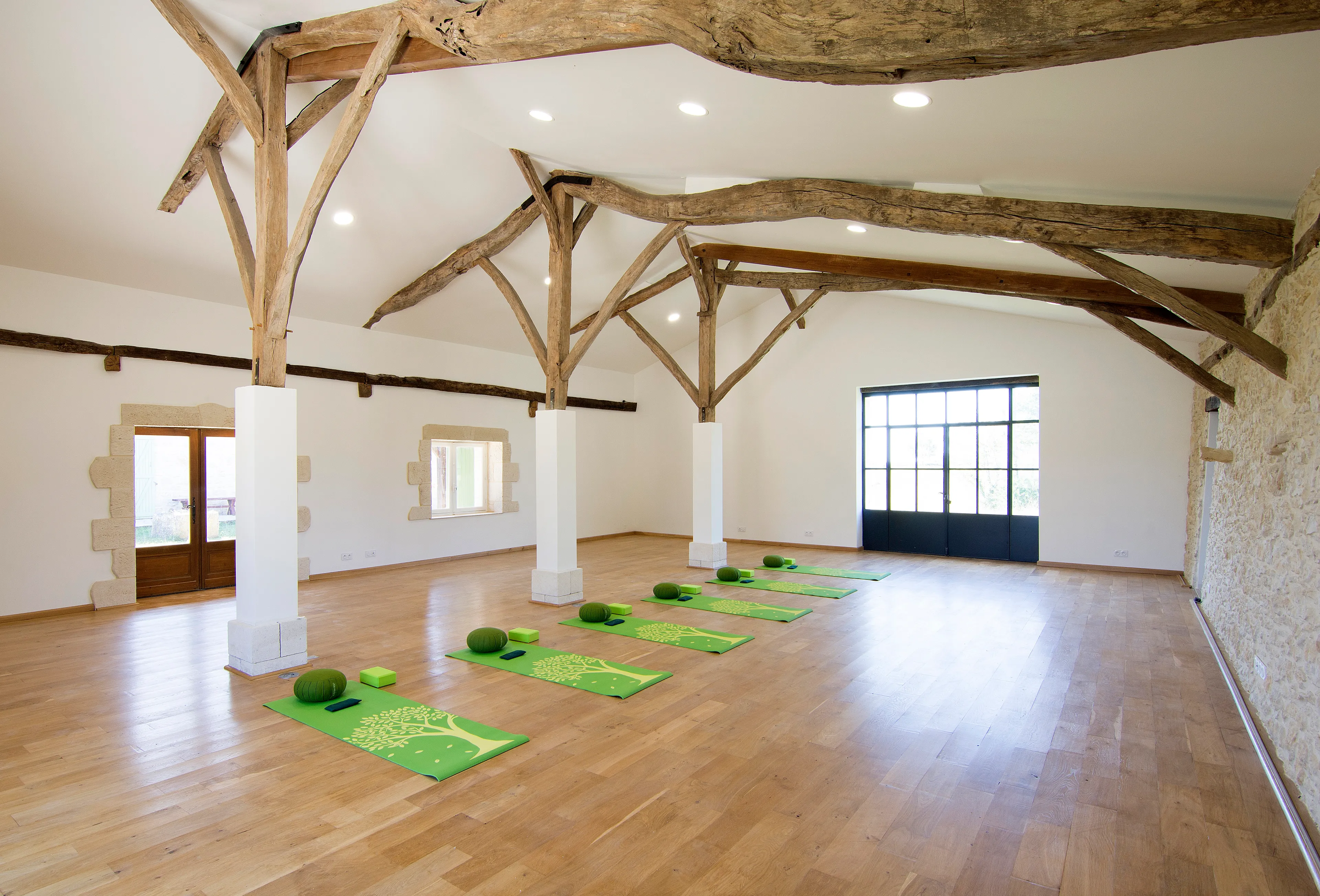 Organic Juice Detox & Yoga-Retreat in Südwestfrankreich - 5