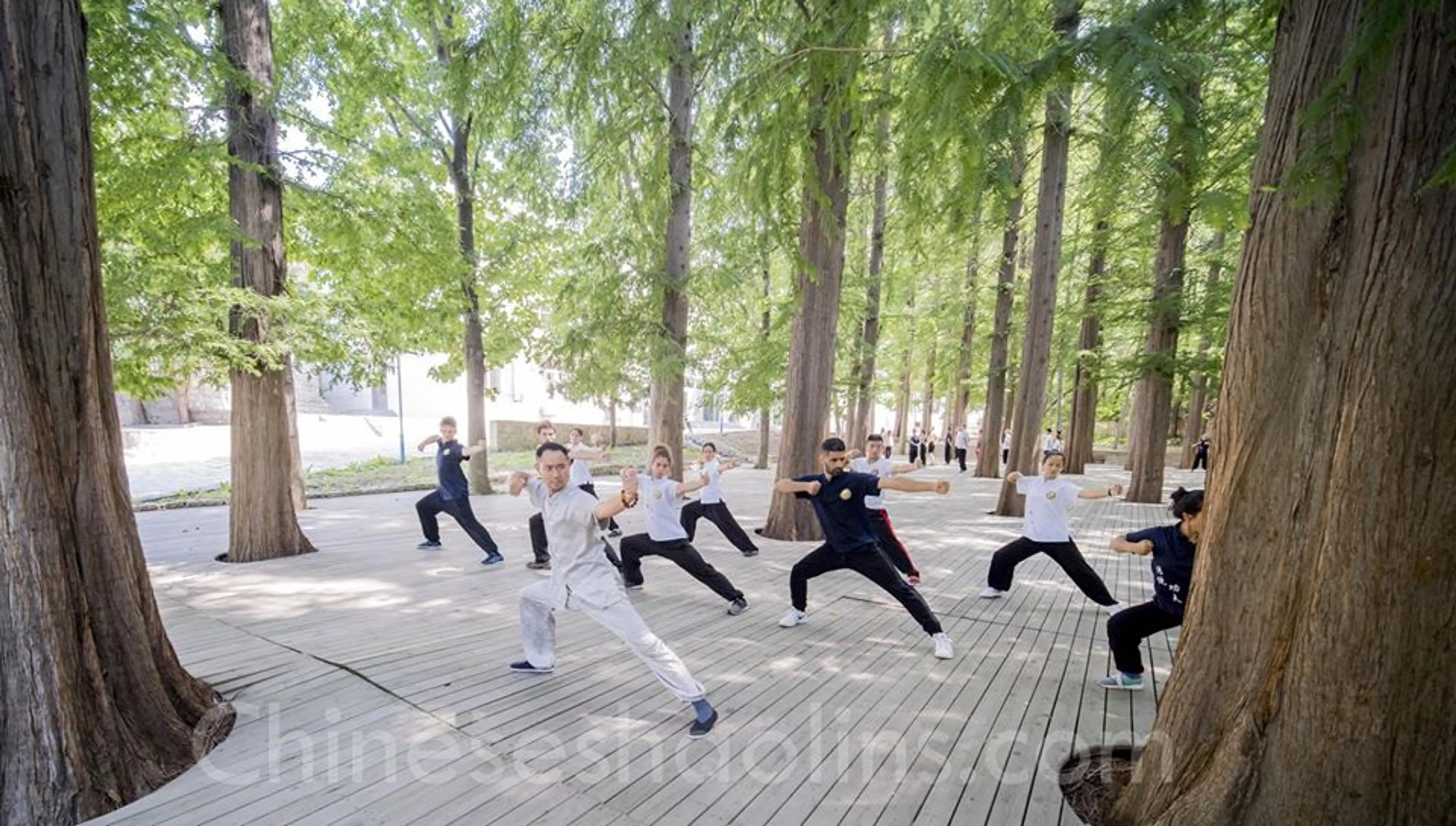 Kung Fu Akademie am Geburtsort des Taoismus - 5