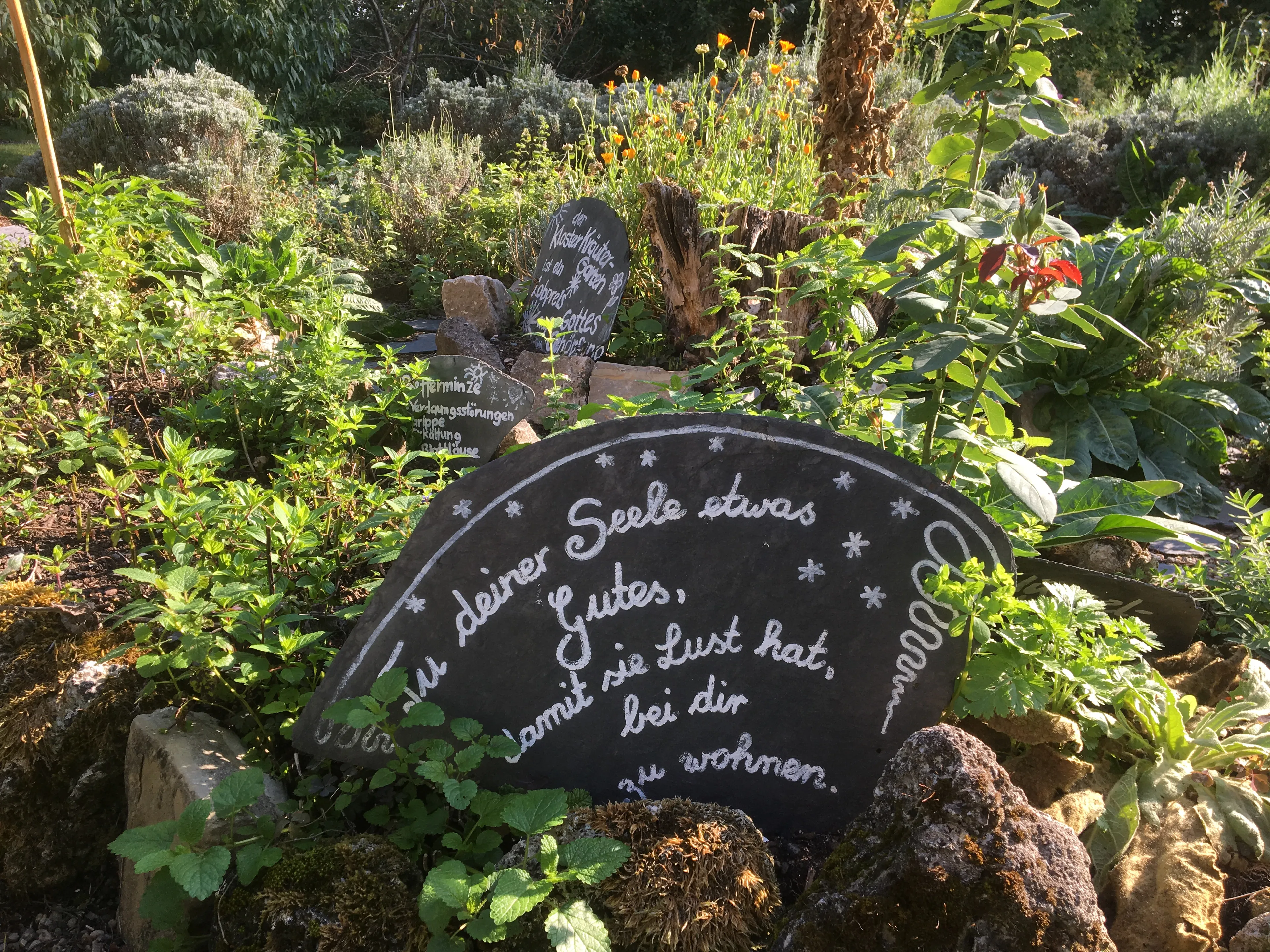 Yoga Wochenende im Kloster - Ein Ort der Besinnung - 4