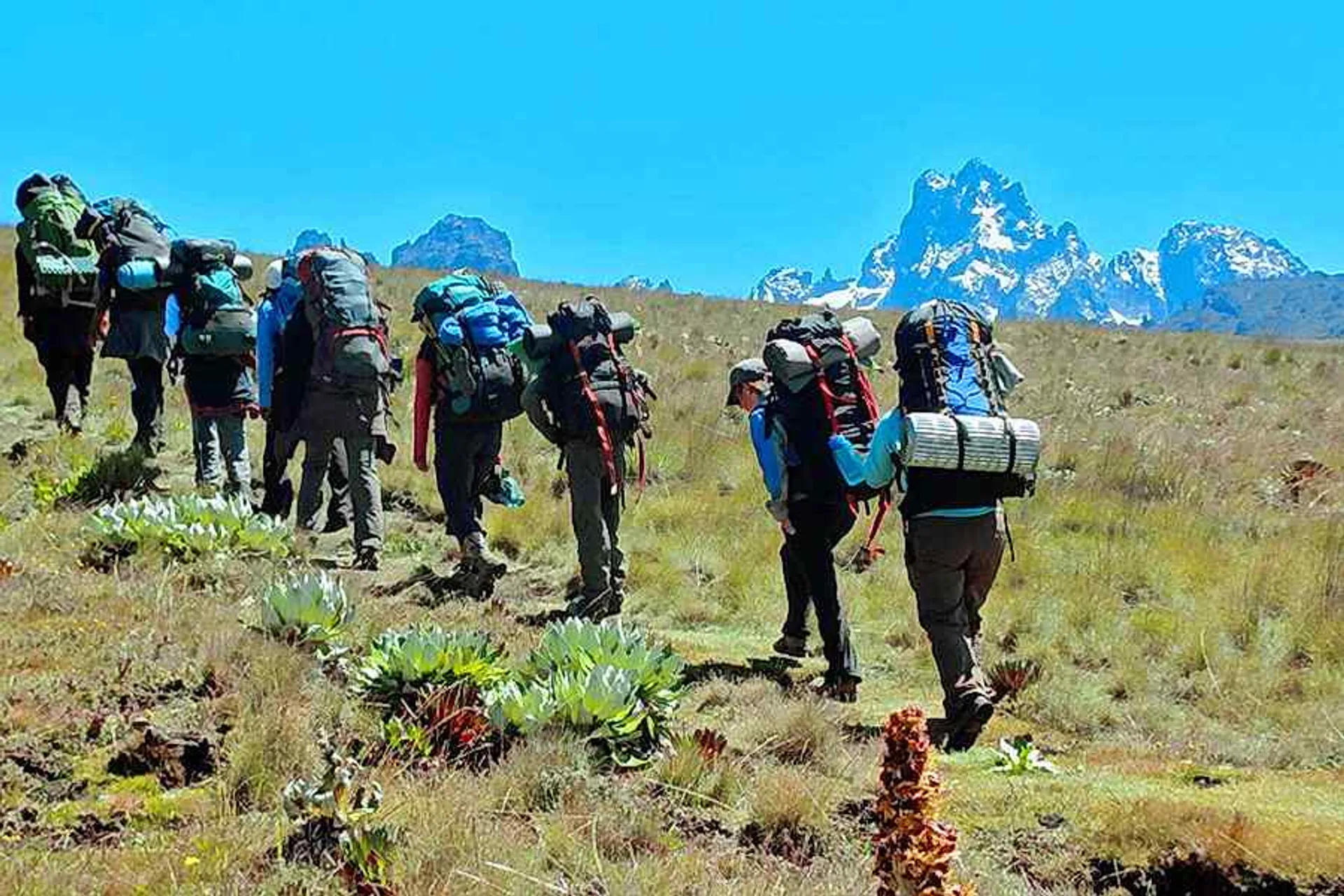 Aktive Kenia Safari: Erkunde die endlose Savanne - 4