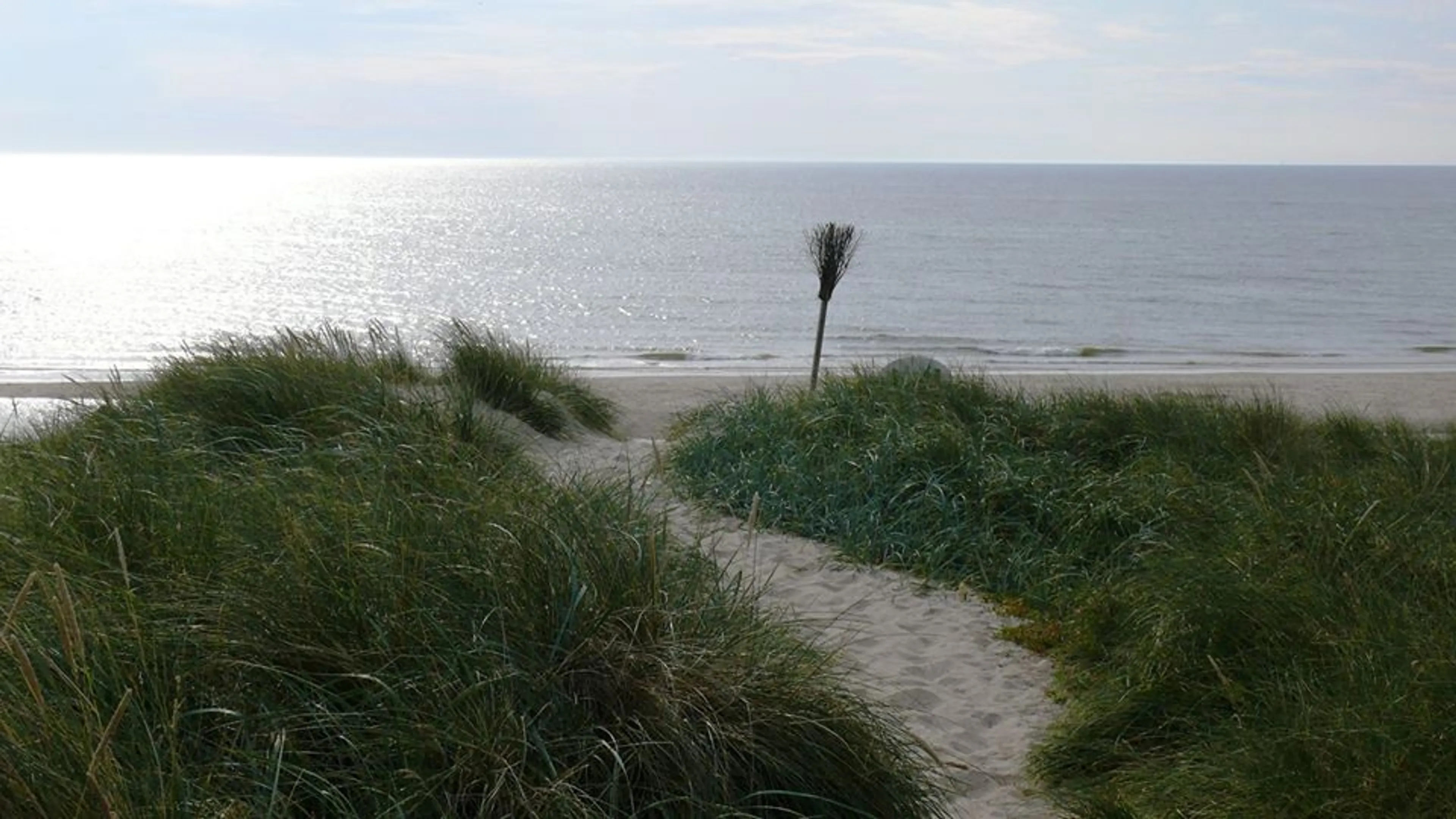 Happy Yoga Days: Deine Yoga Erfahrungswoche im Mai auf Sylt - 3