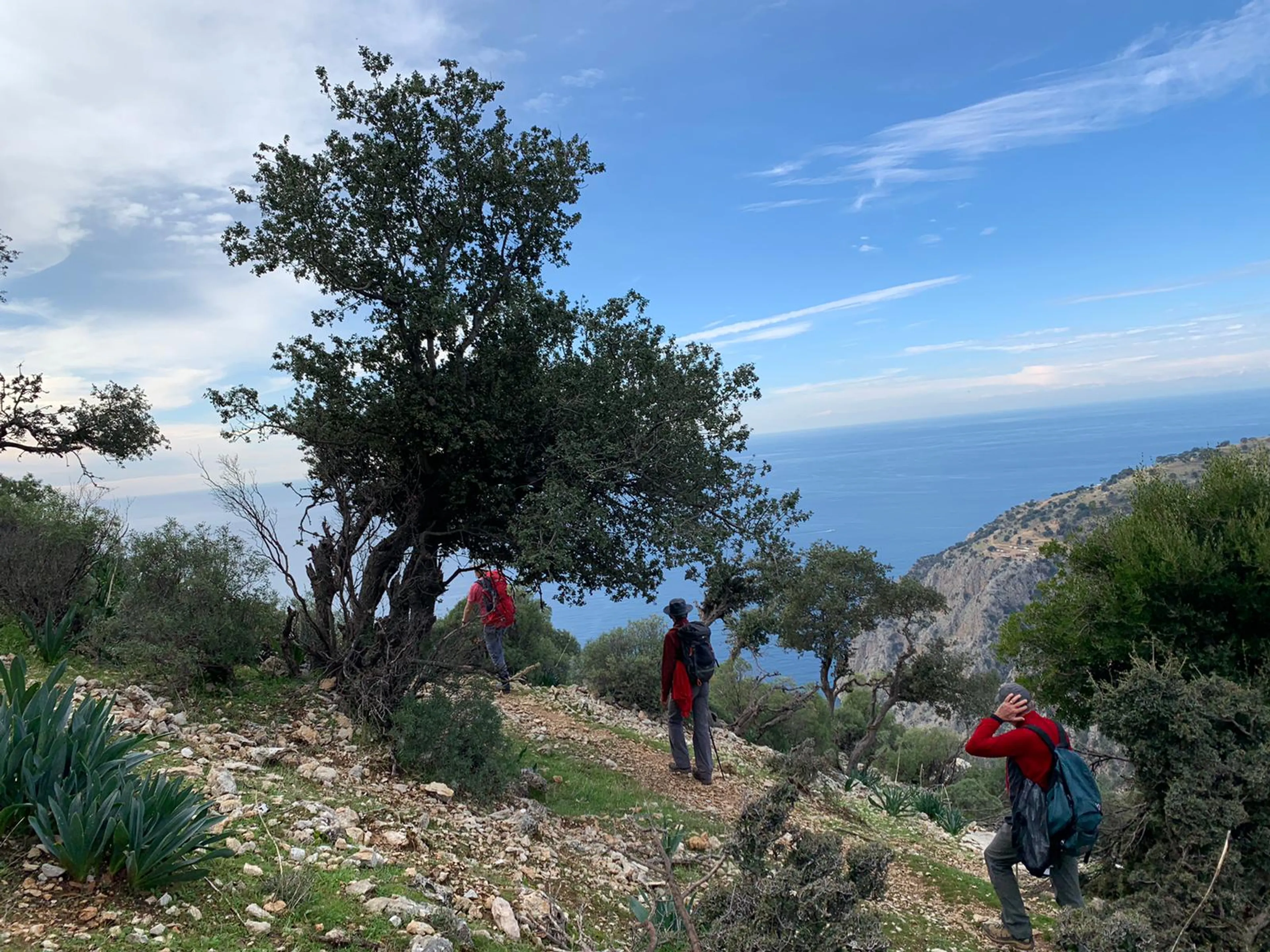 Trekkingreise auf dem facettenreichen Lykischen Weg - 3