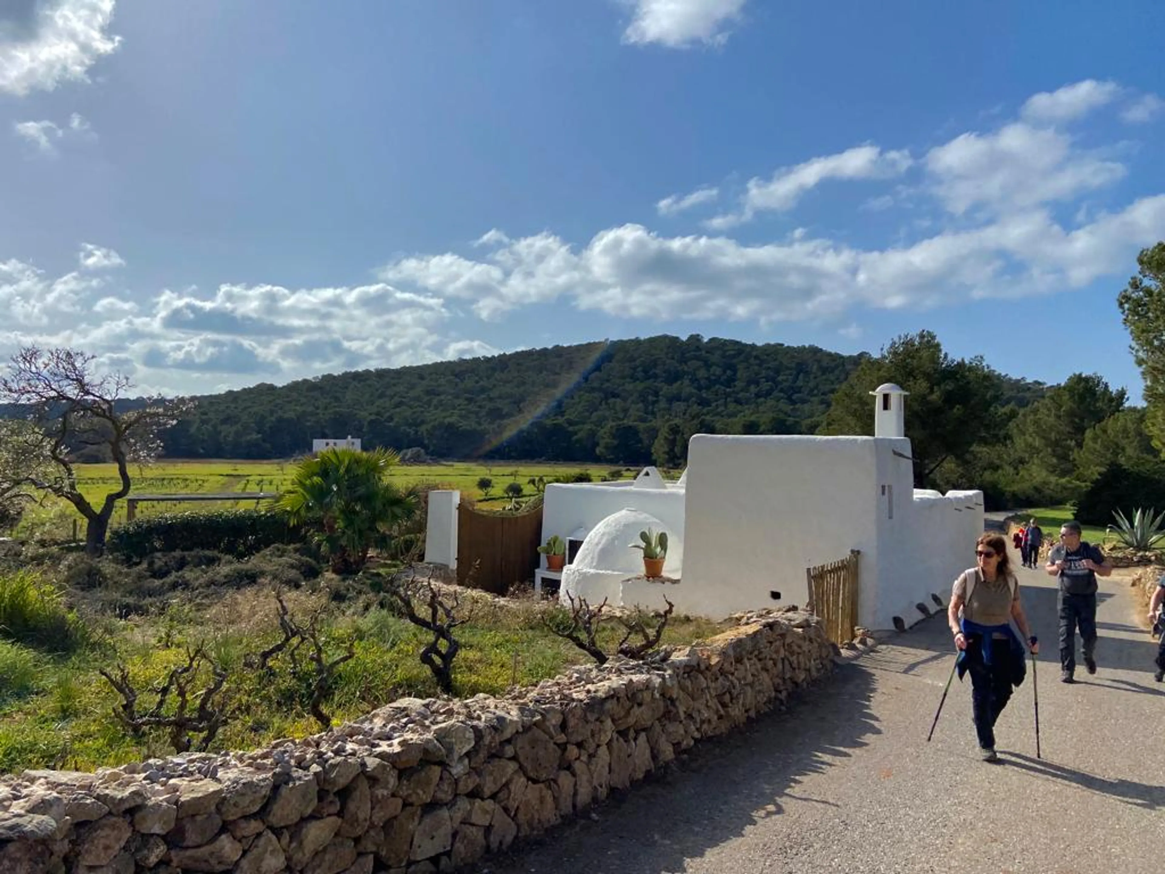 Conscious Walking Ibiza - Wandern und LifeCoaching zur Mandelblüte - 3