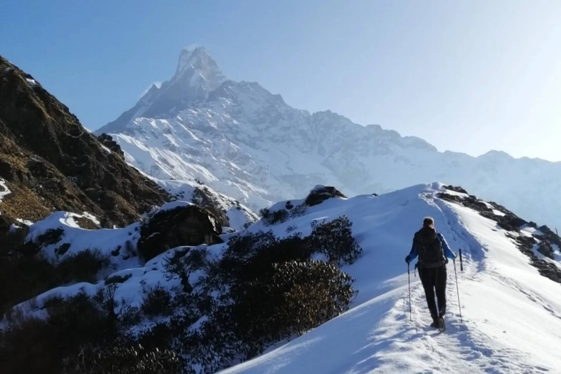 Mardi Himal Trekking in Nepal