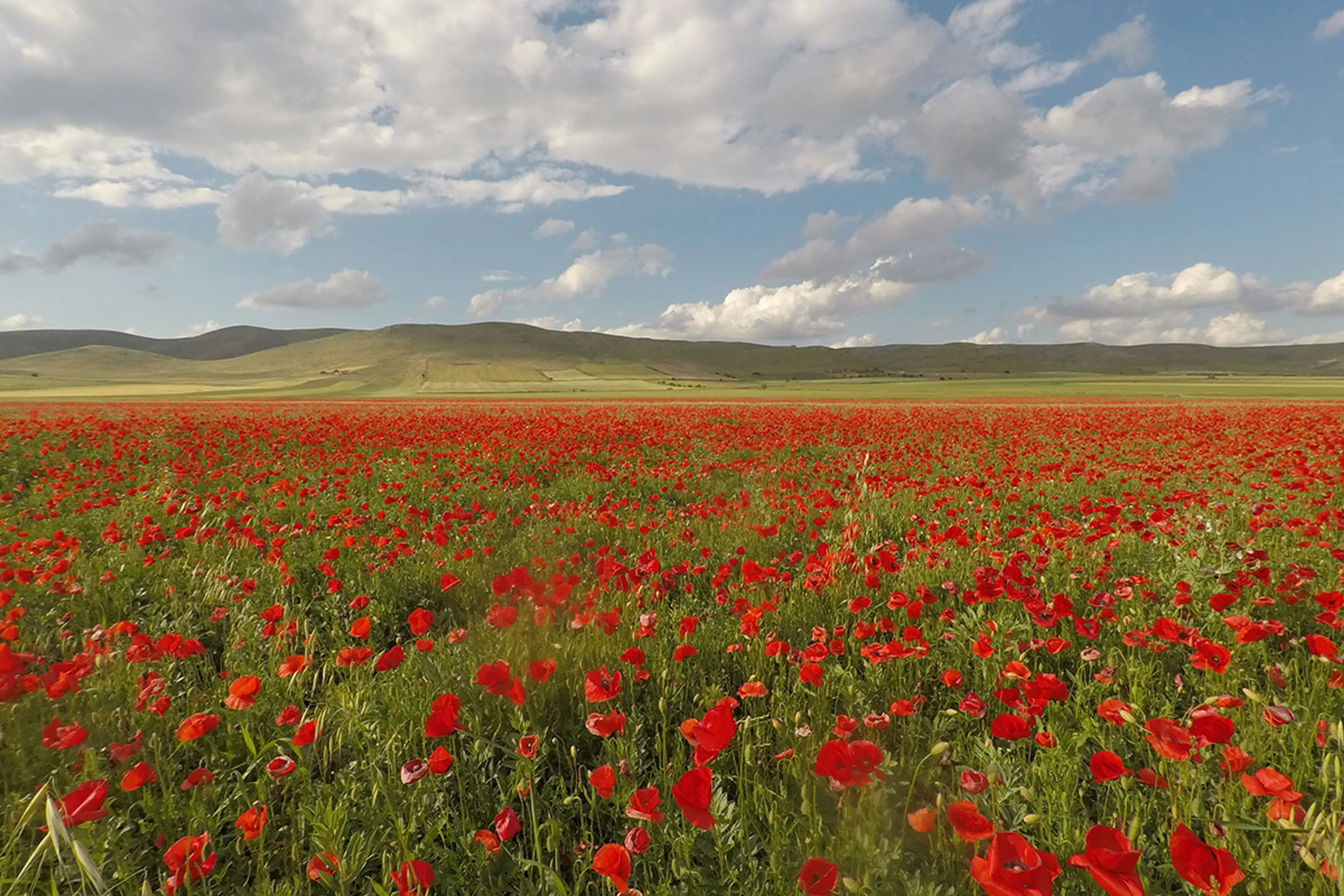 Selbstgeführte Radtour im Herzen Apuliens - 4