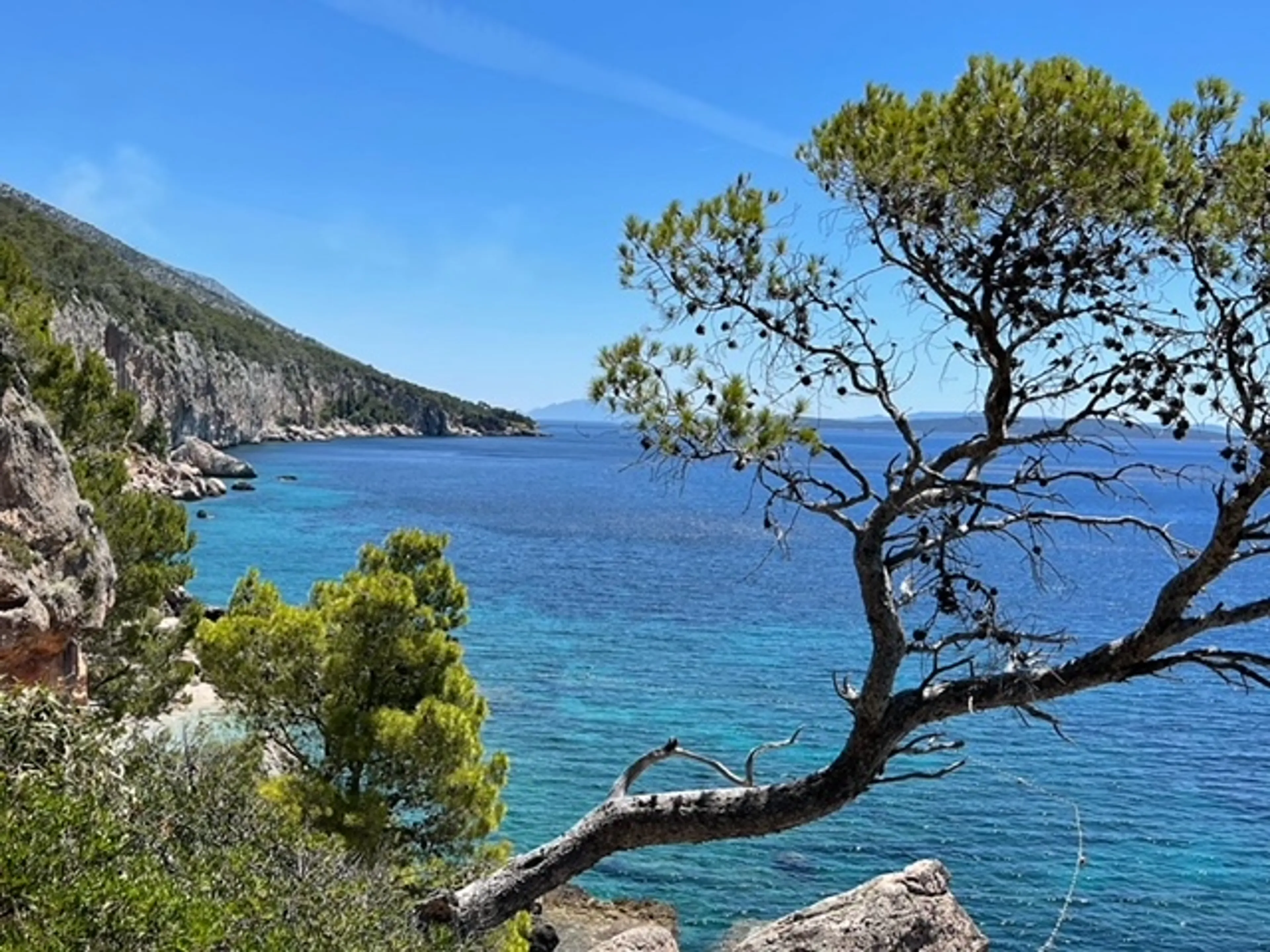 Yoga-Retreat in Kroatien: Rethink, grow and light up your life! - 1