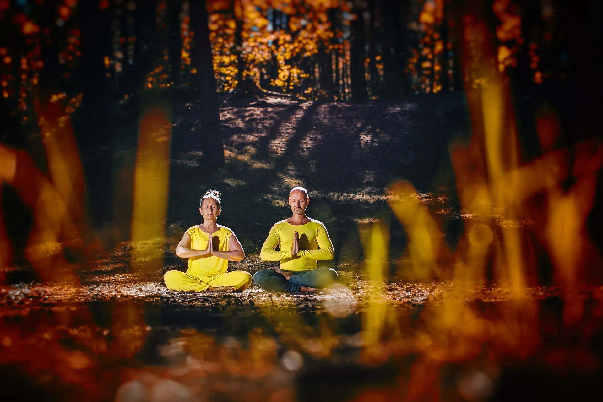 Yoga & Wandern auf Rügen: Aktive Erholung in wundervoller Landschaft