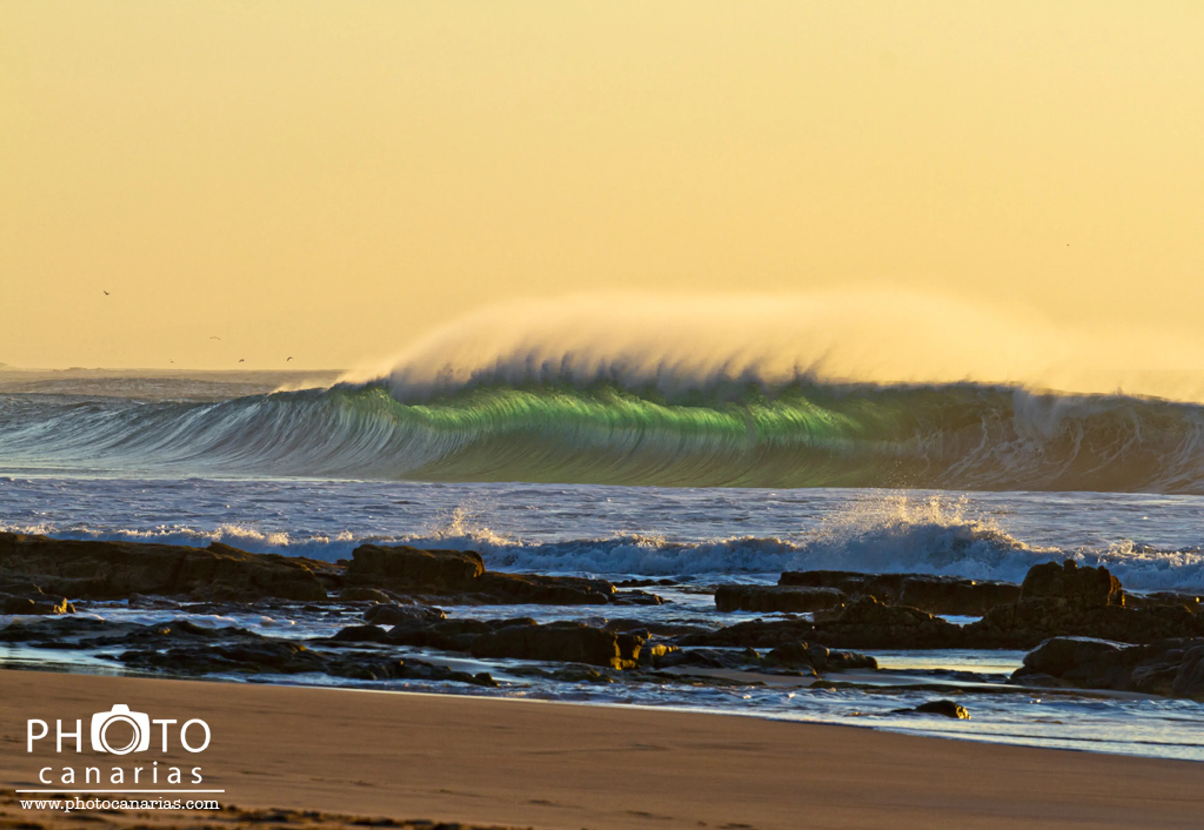 Surfen & Fotografieren: Dein unvergesslicher Urlaub auf Fuerteventura - 2