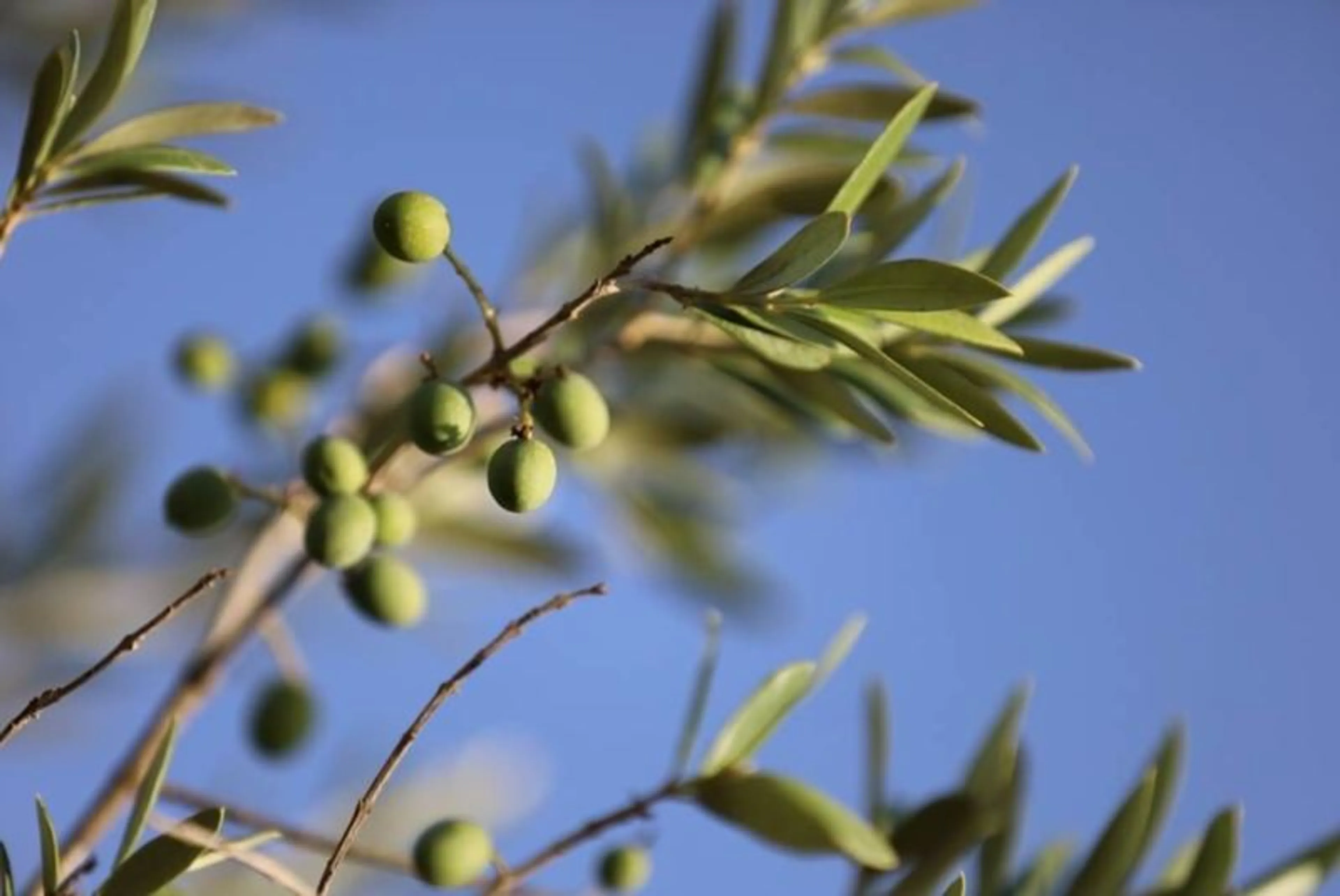 Qi Gong, Meditation & Wandern: Finde zur Natur und dir selbst - 2