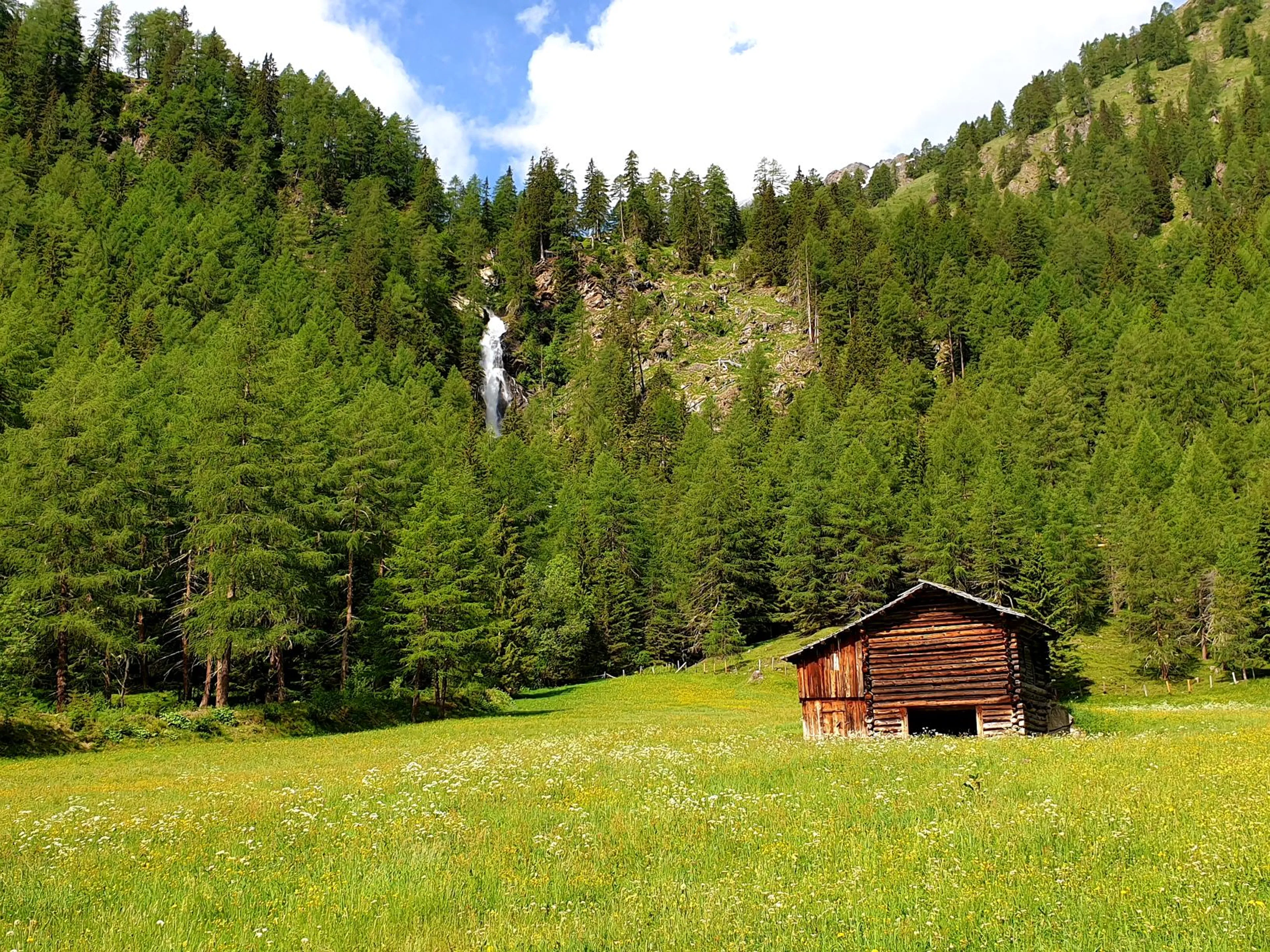 Genuss Wandern für Frauen im Tiroler Hochpustertal - 5