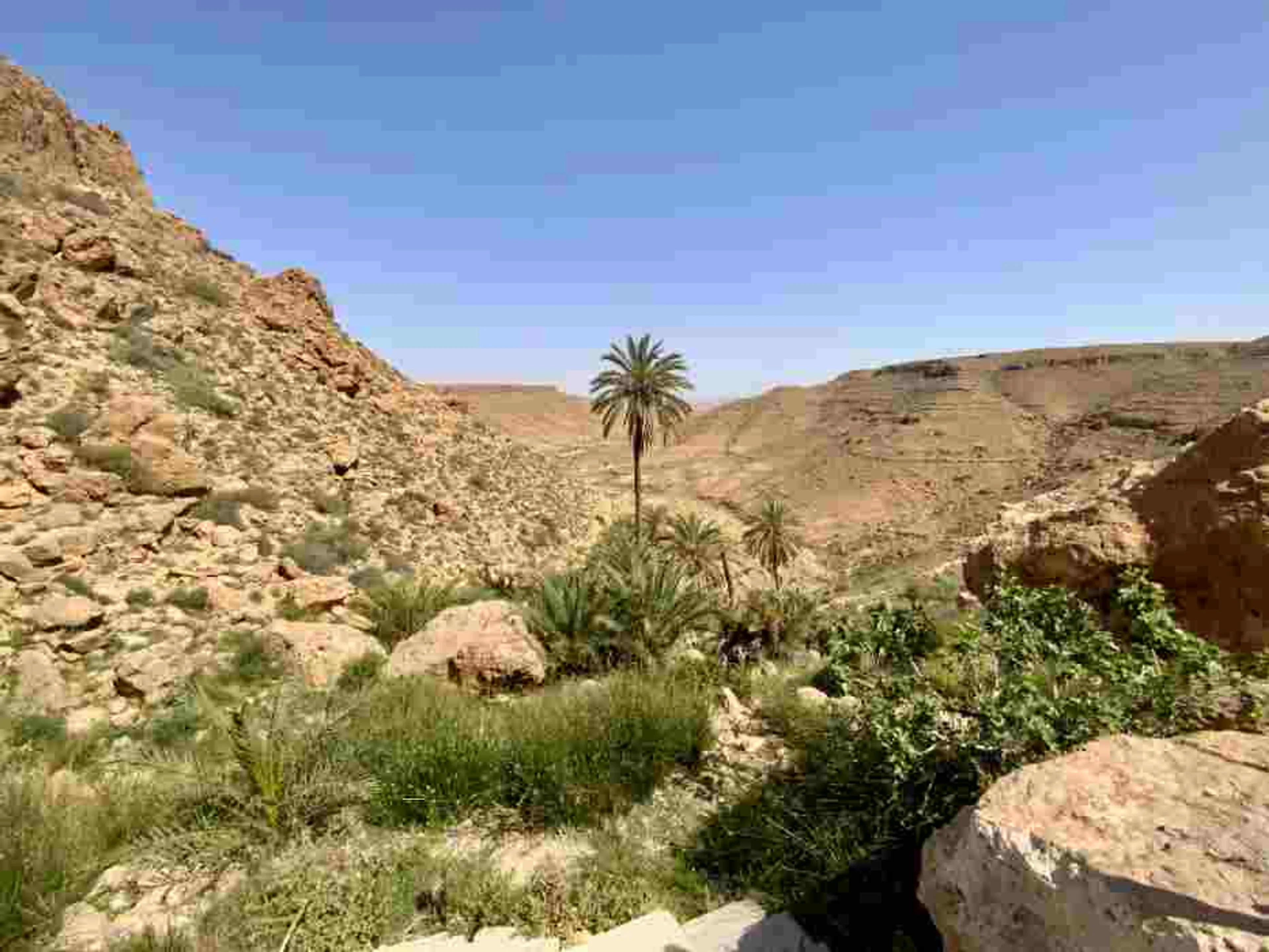 Zum Geburtsort der Erde: Hiking Dahar - Wanderurlaub - 4