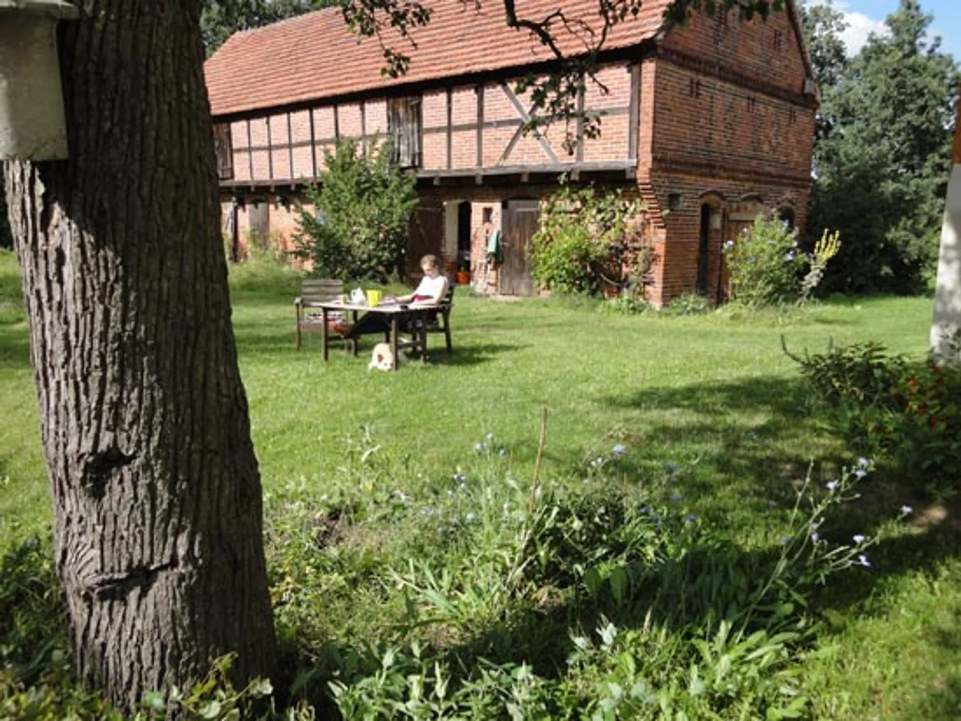Spring Bliss Retreat: Mit Yoga & Breathwork in den Frühling - 4