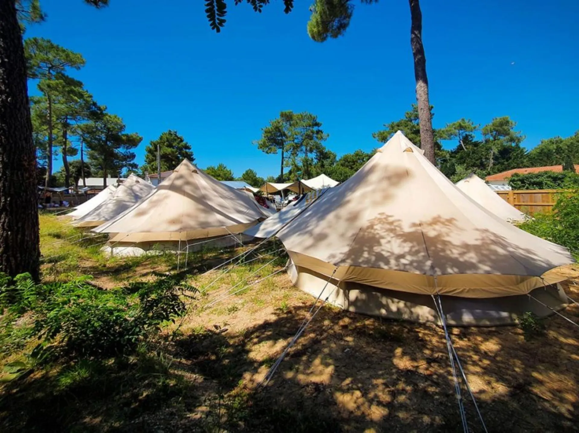 Jugend Surfcamp am Atlantischen Ozean: Zwischen Pinien und Skateparks - 3