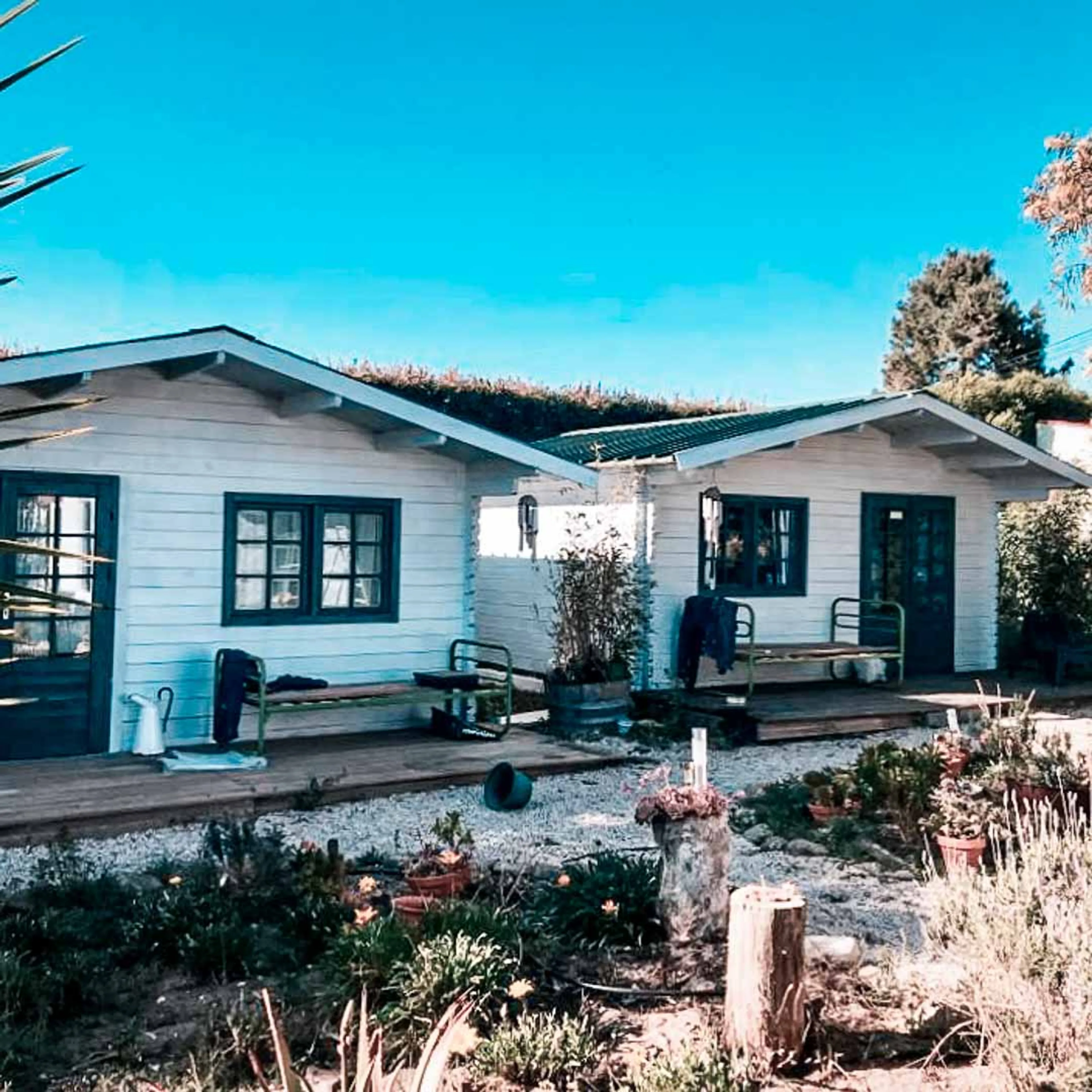 Eco Surfcamp in Milfontes: Entdecke das ländliche Portugal - 3