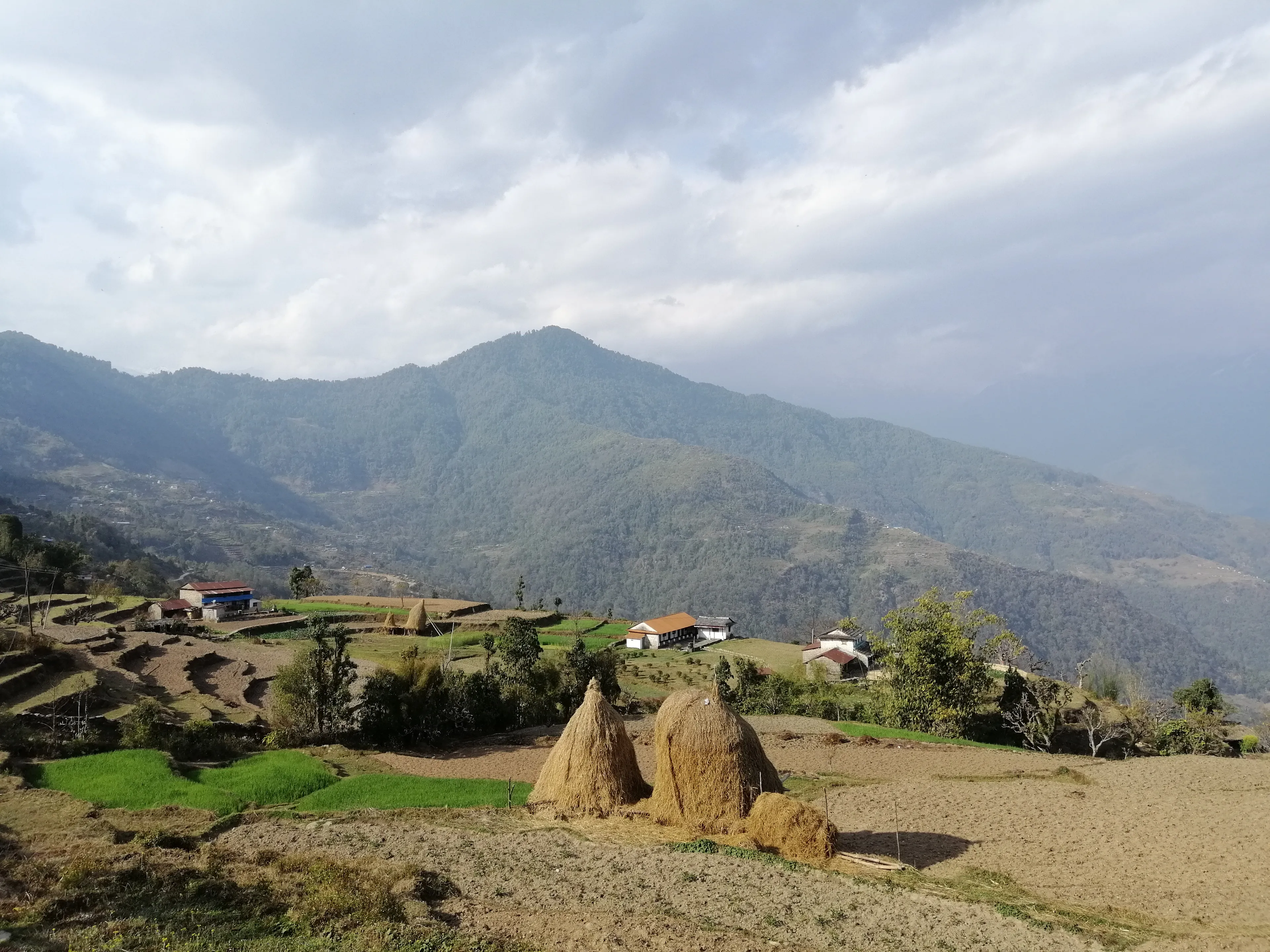 Mardi Himal Trekking in Nepal - 5