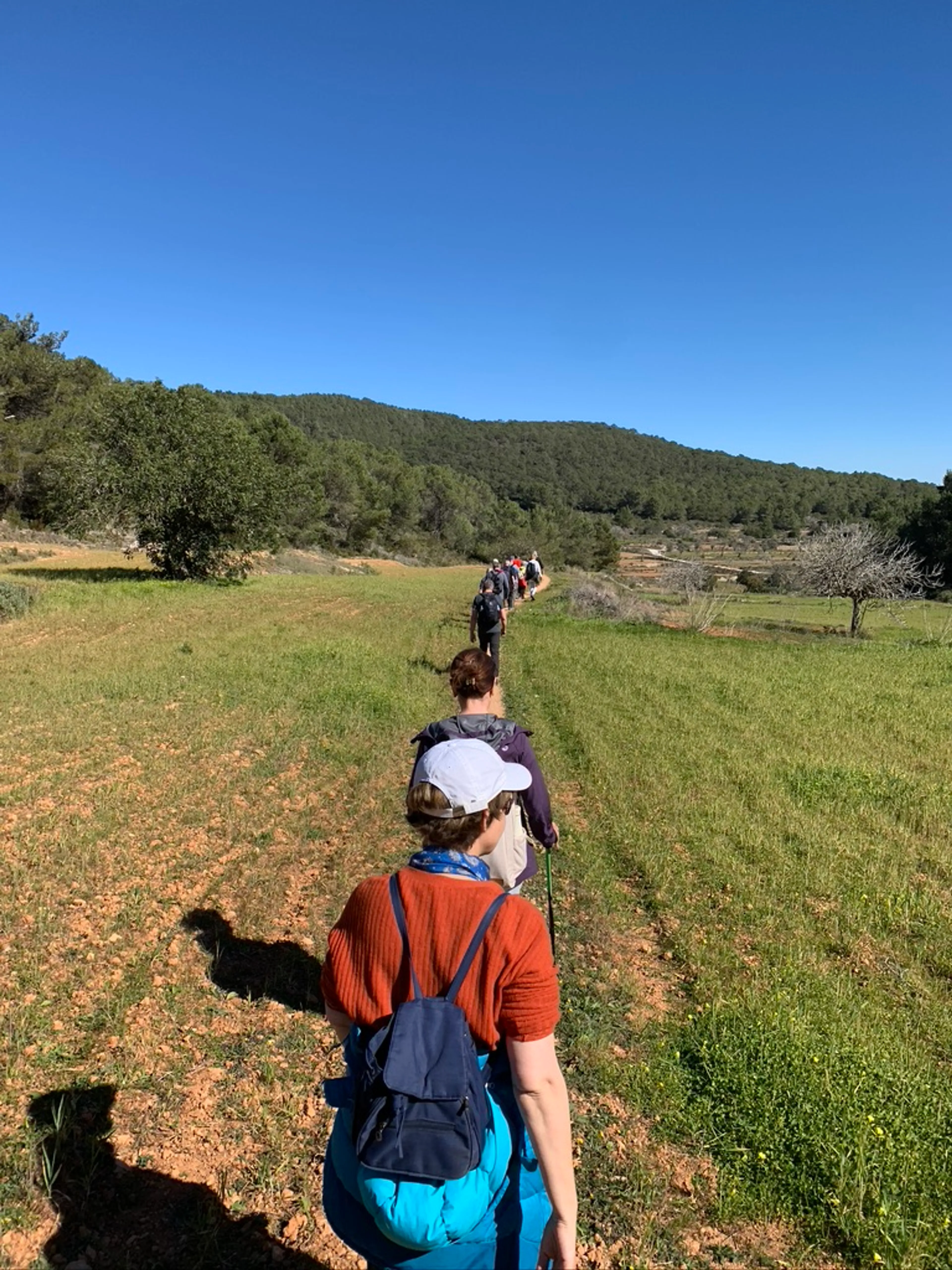 Conscious Walking Ibiza - Wandern und LifeCoaching zur Mandelblüte - 4