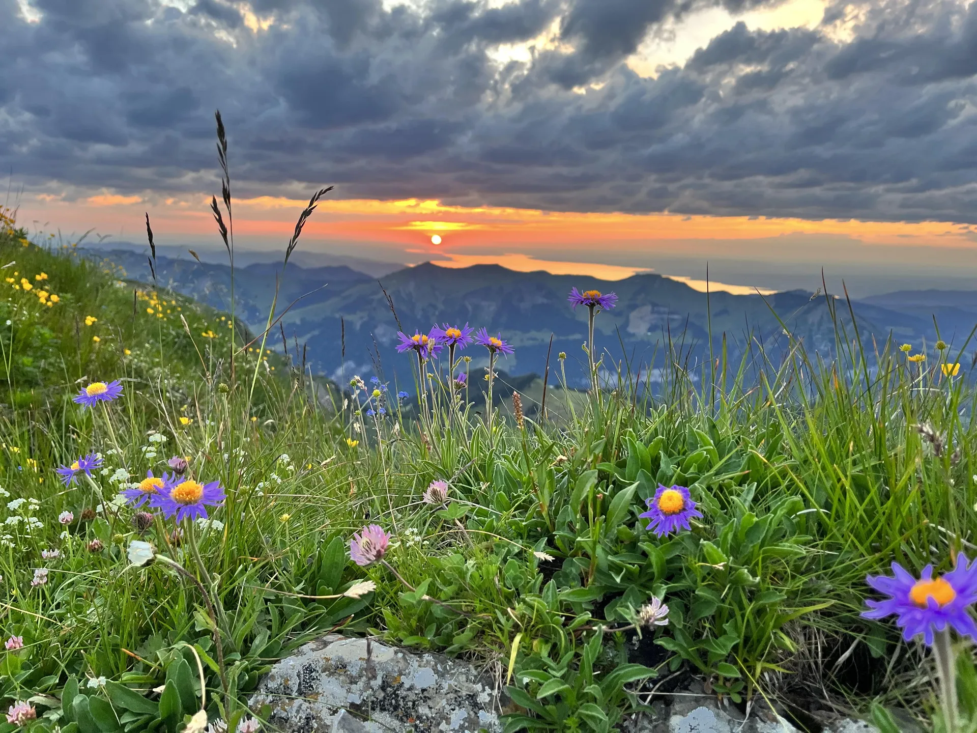 Wanderurlaub für Naturliebhaber und Genussmenschen im Bregenzerwald