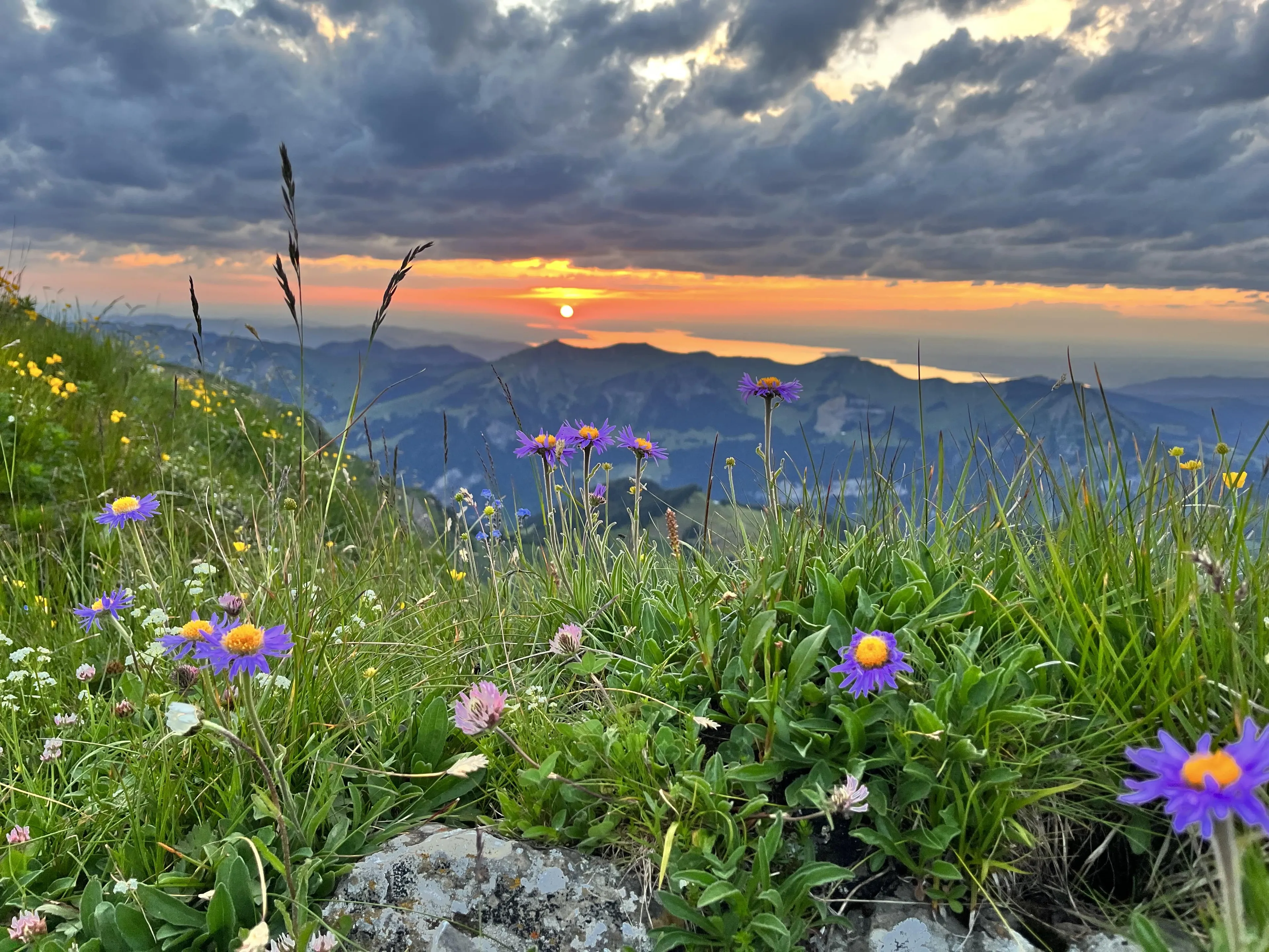 Wanderurlaub für Naturliebhaber und Genussmenschen im Bregenzerwald - 1
