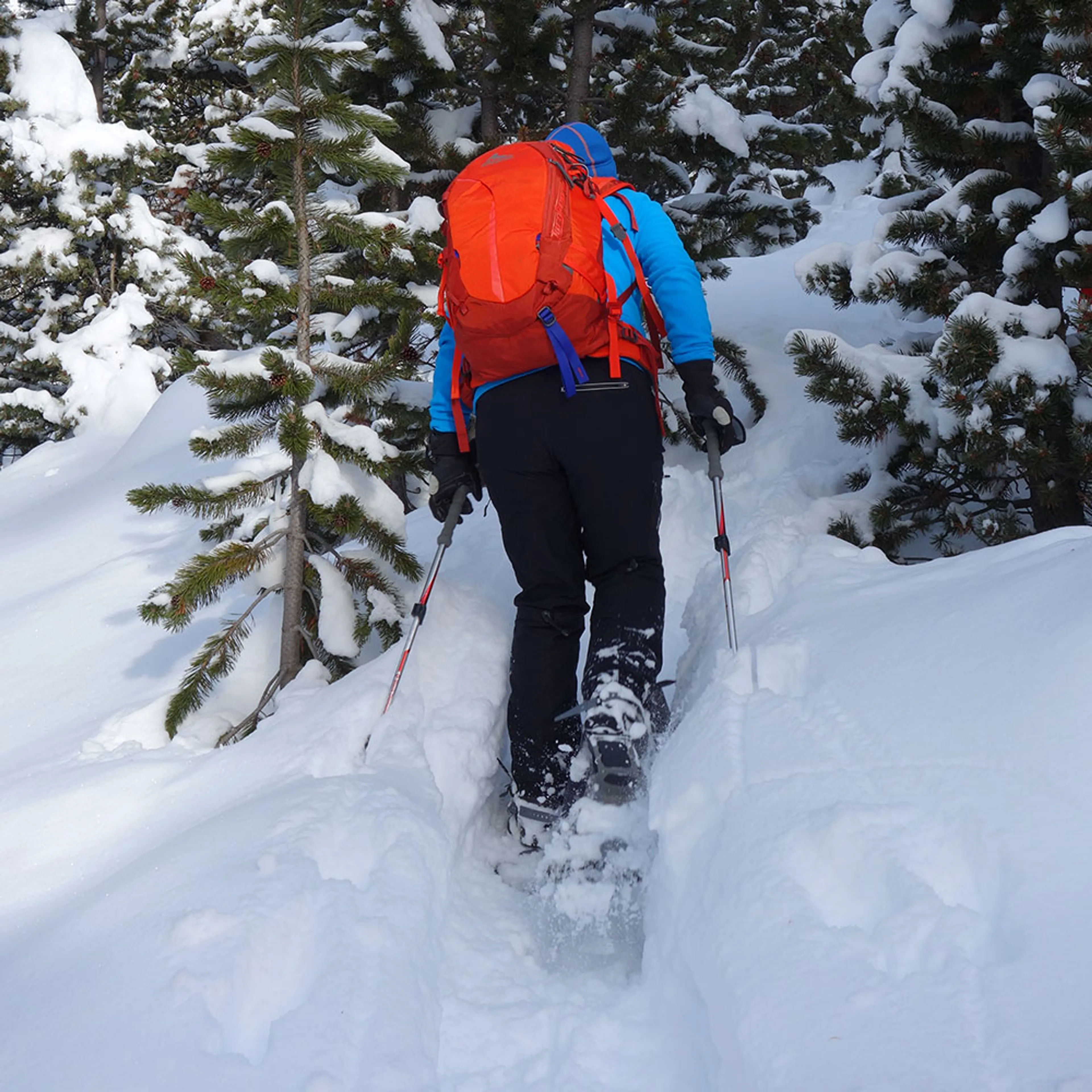 Schneeschuhwandern vor traumhafter Kulisse in Tirol - image 1