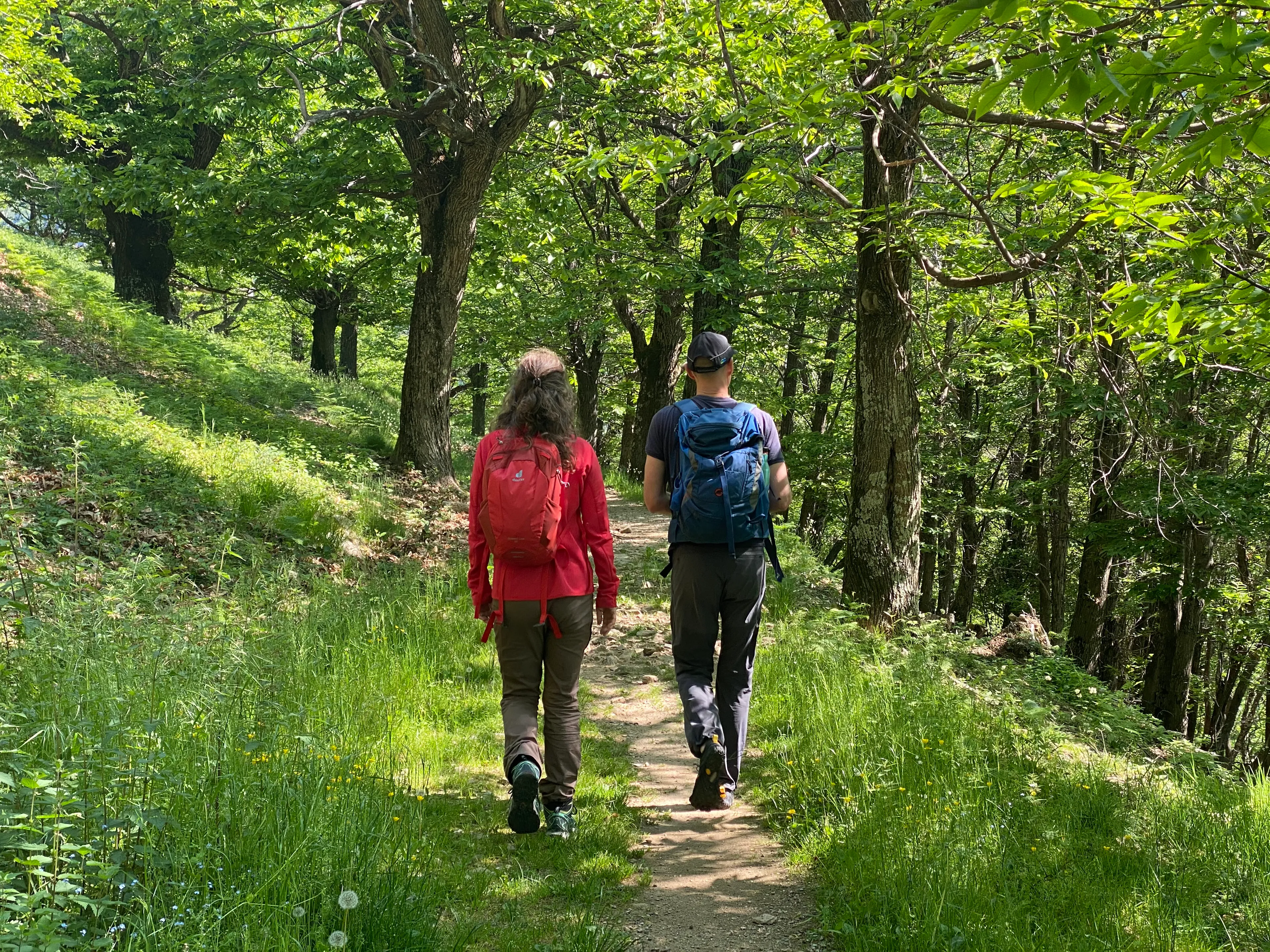 Malerische Yogawochen im Herzen des Malcantone - 2