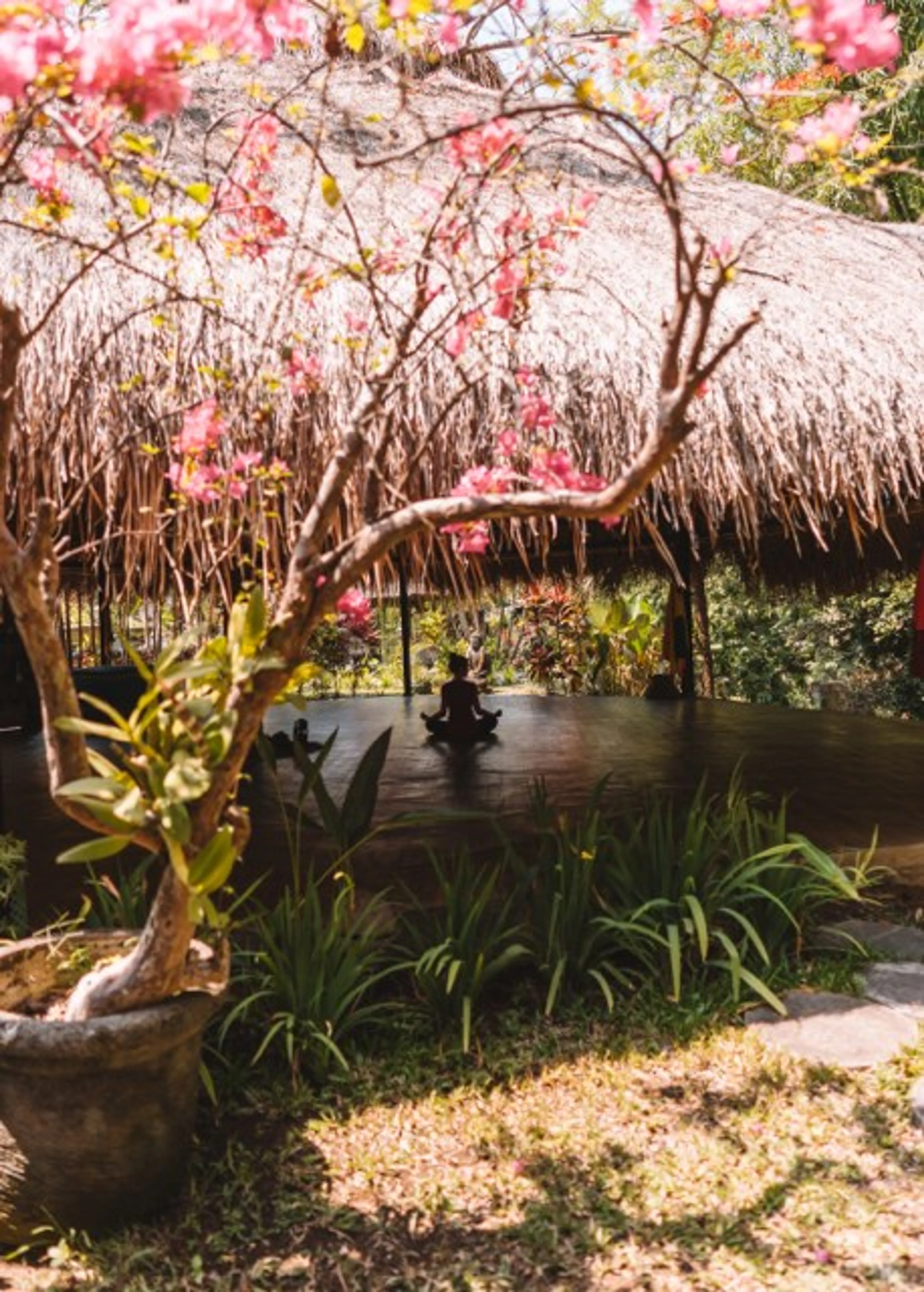 Aerial Yoga Village in Canggu: Luxus & Erholung - 5