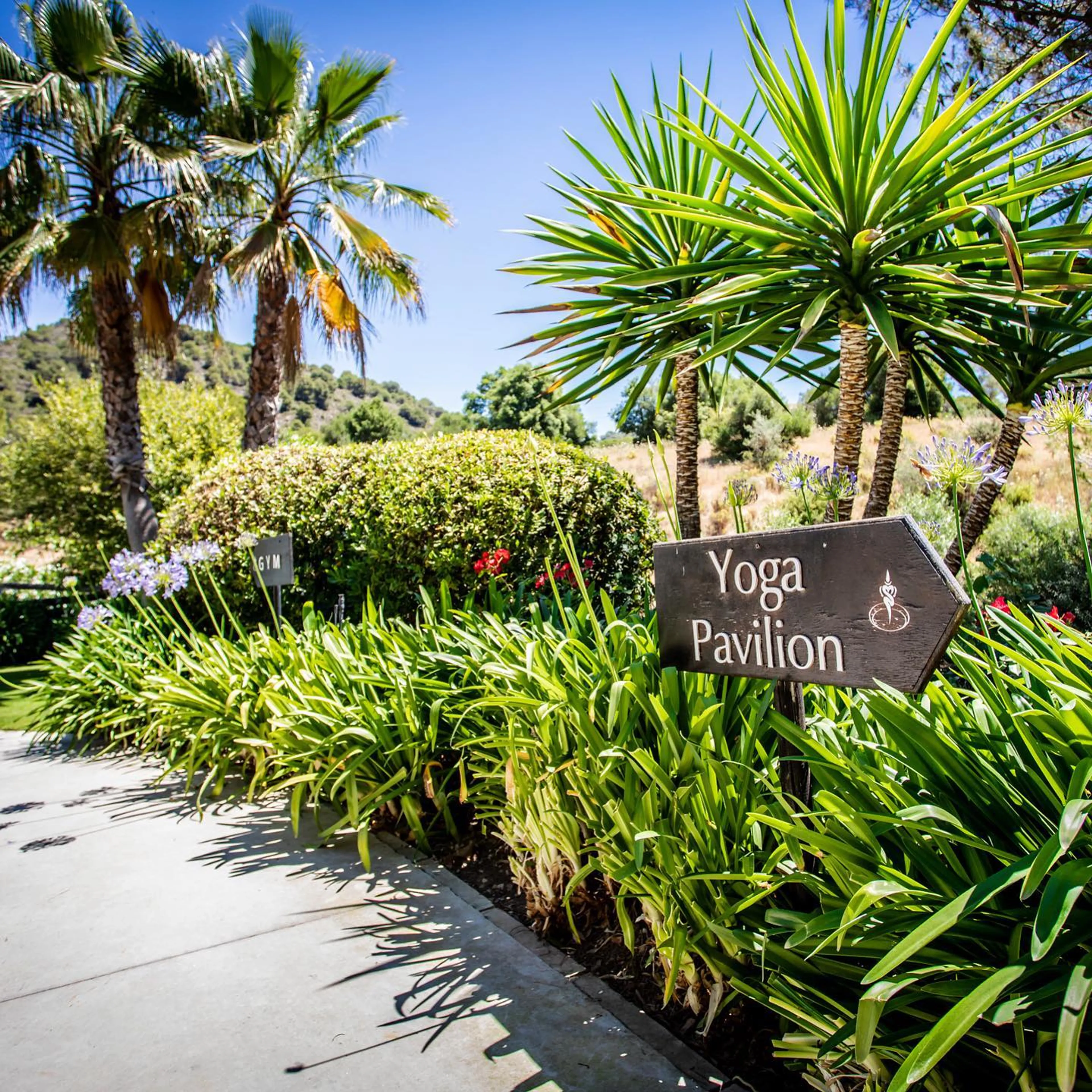 Transformatives Yoga-Retreat inmitten der spanischen Natur - 2