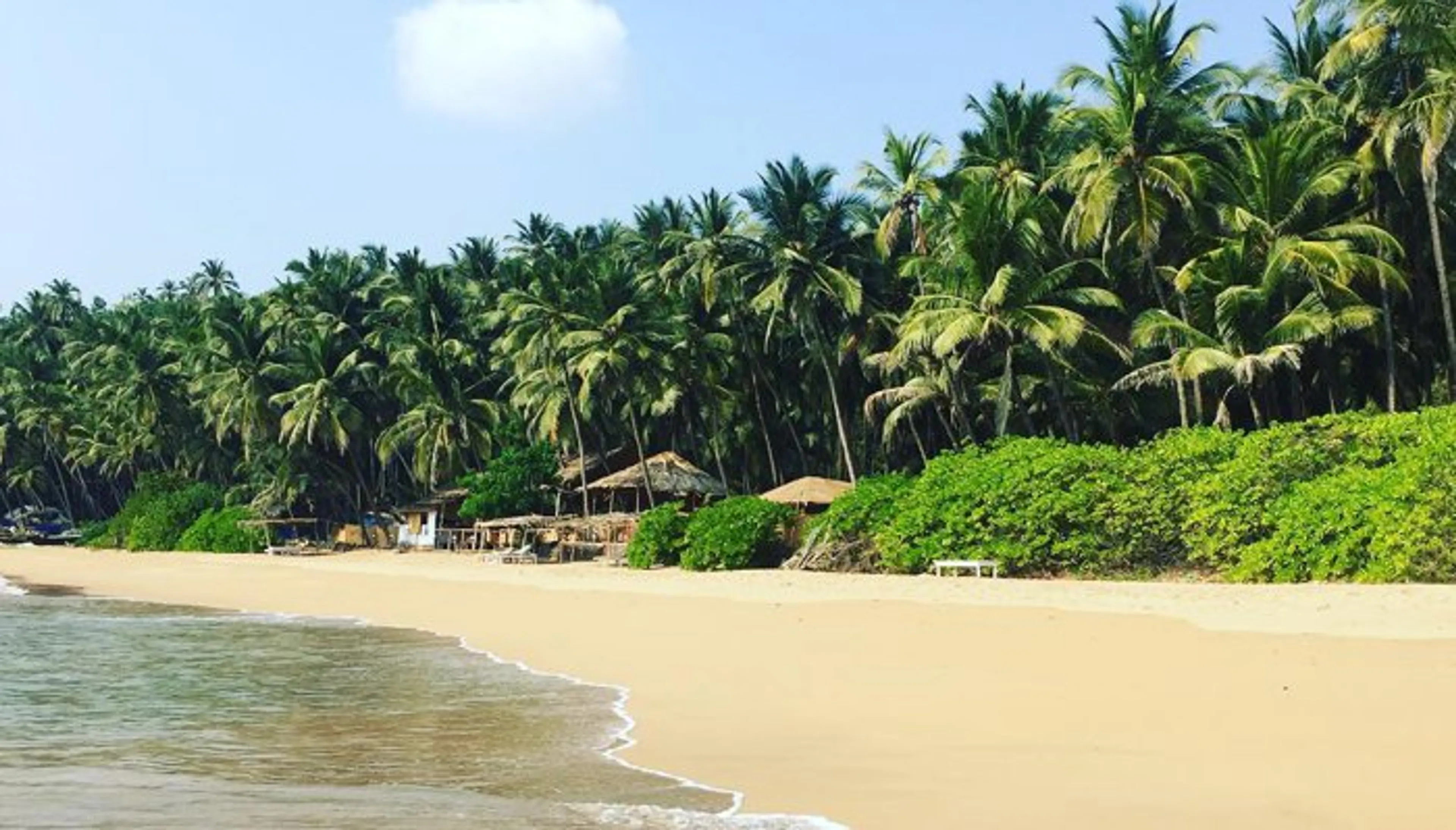 Paradiesisches Yoga Retreat unter den Kokospalmen Goas - 1