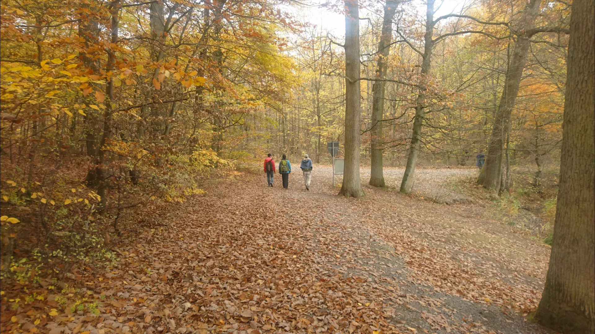 Yoga Retreat im Naturpark: Seelenkräfte für ein selbstbestimmtes Leben - 3