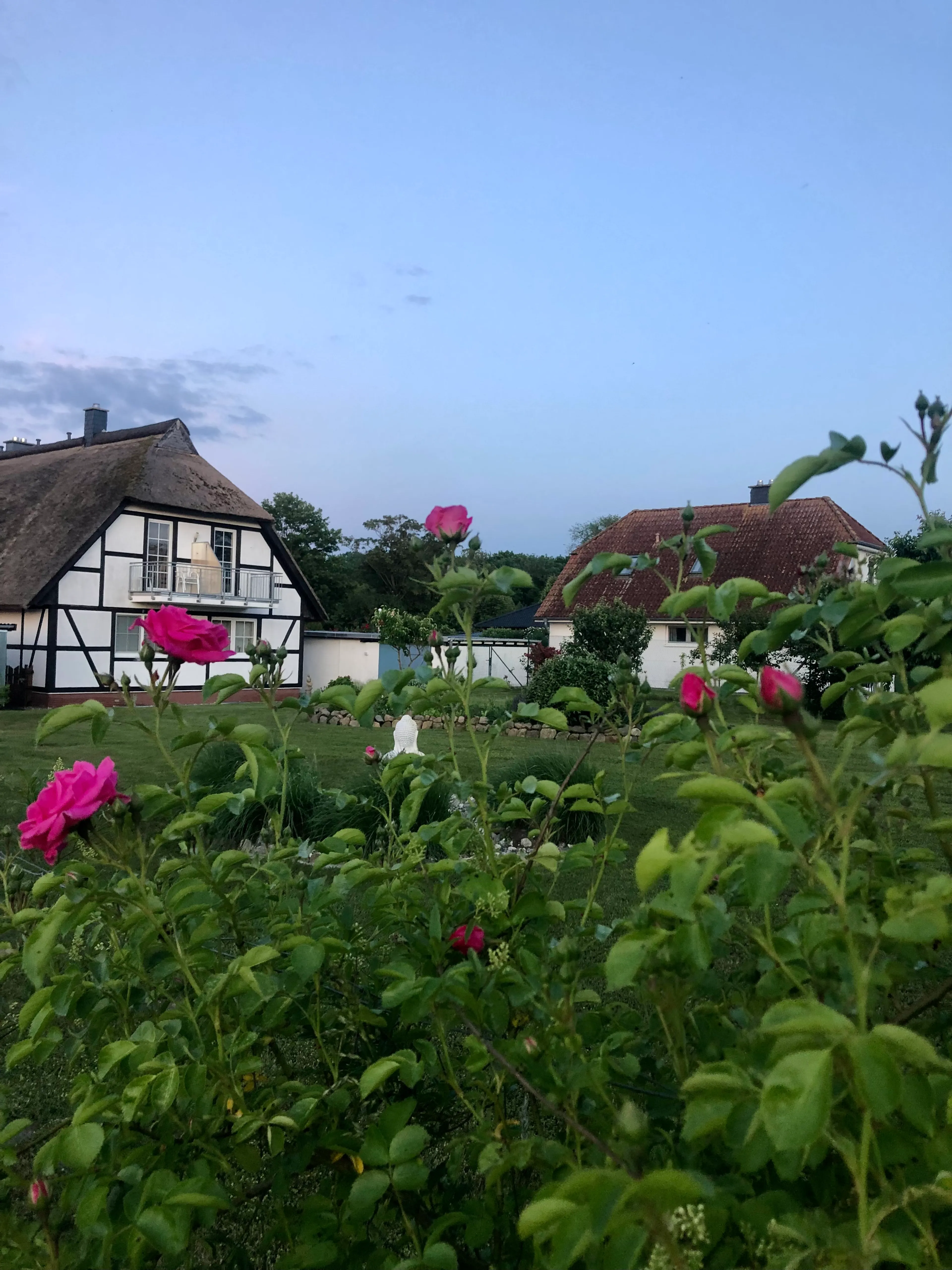 Yoga Wochenende auf Rügen: Deine wohltuende Pause vom Alltag - 1