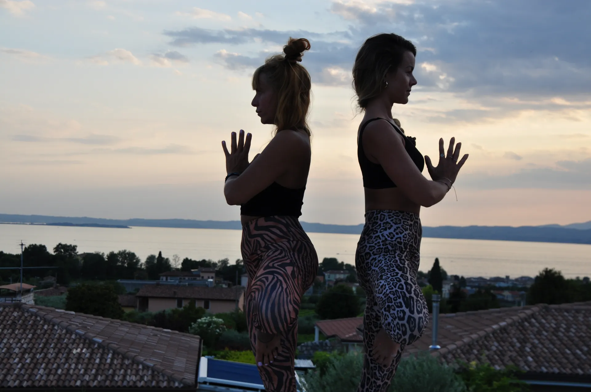 Free The Soul Retreats