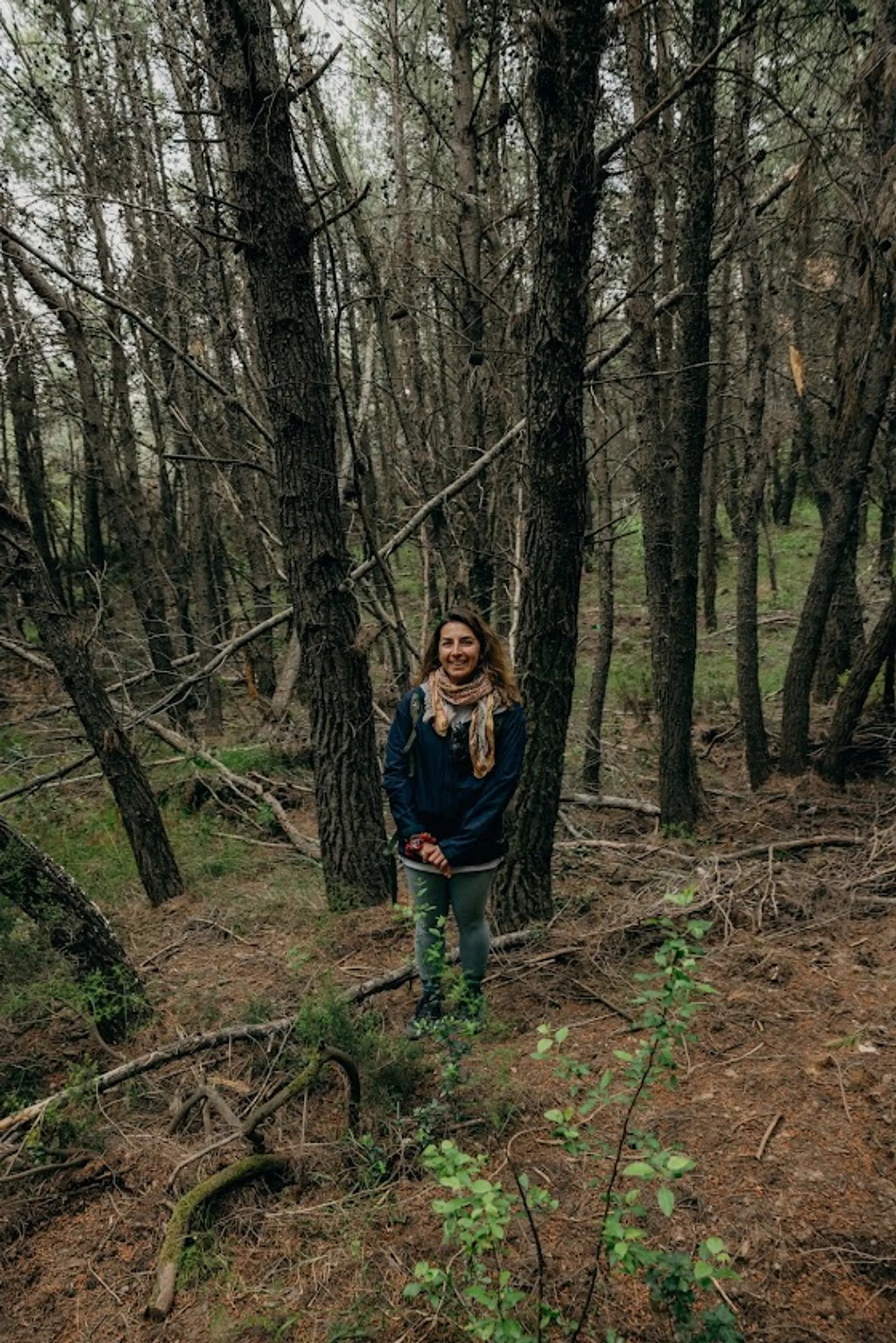 Nefeli Nine Retreats