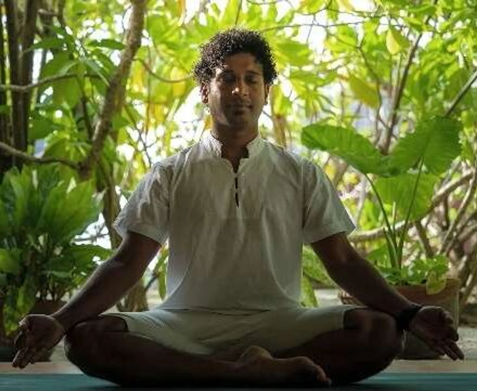 Yogabee