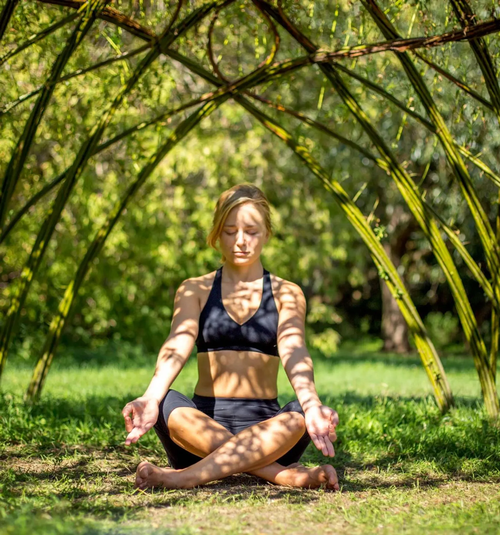 Malva Yoga