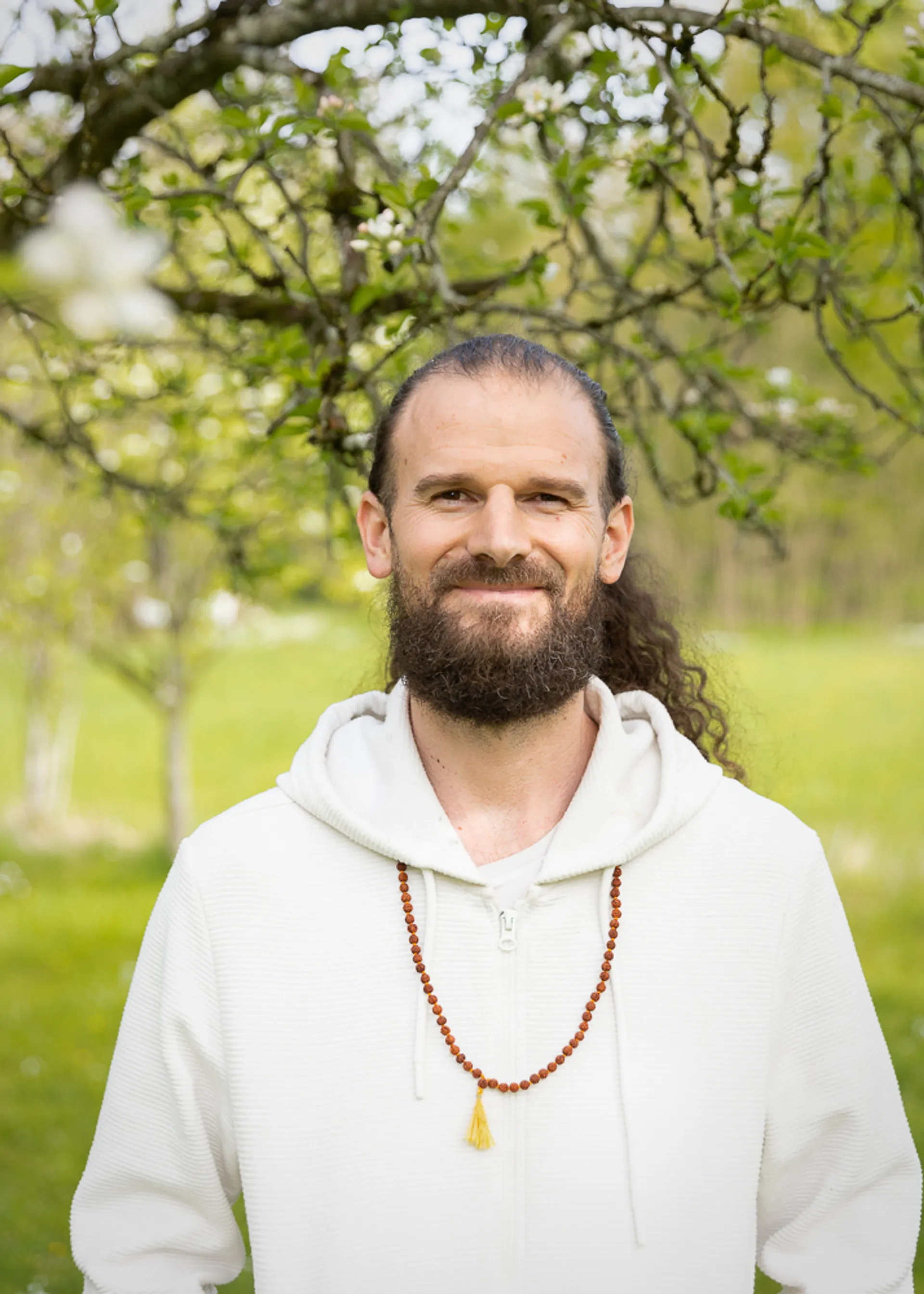 Raja Yoga