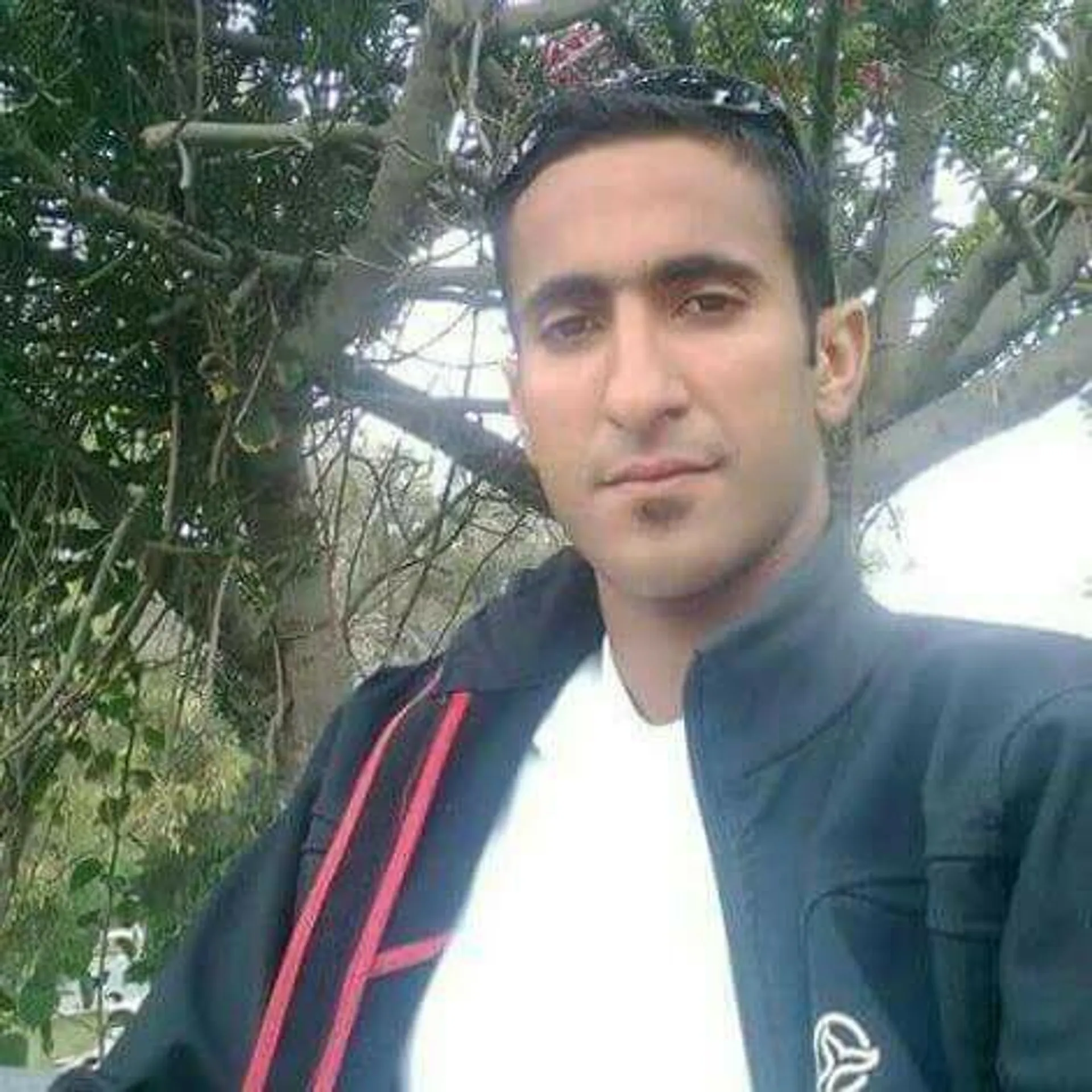 Red Carpet Surf Camp