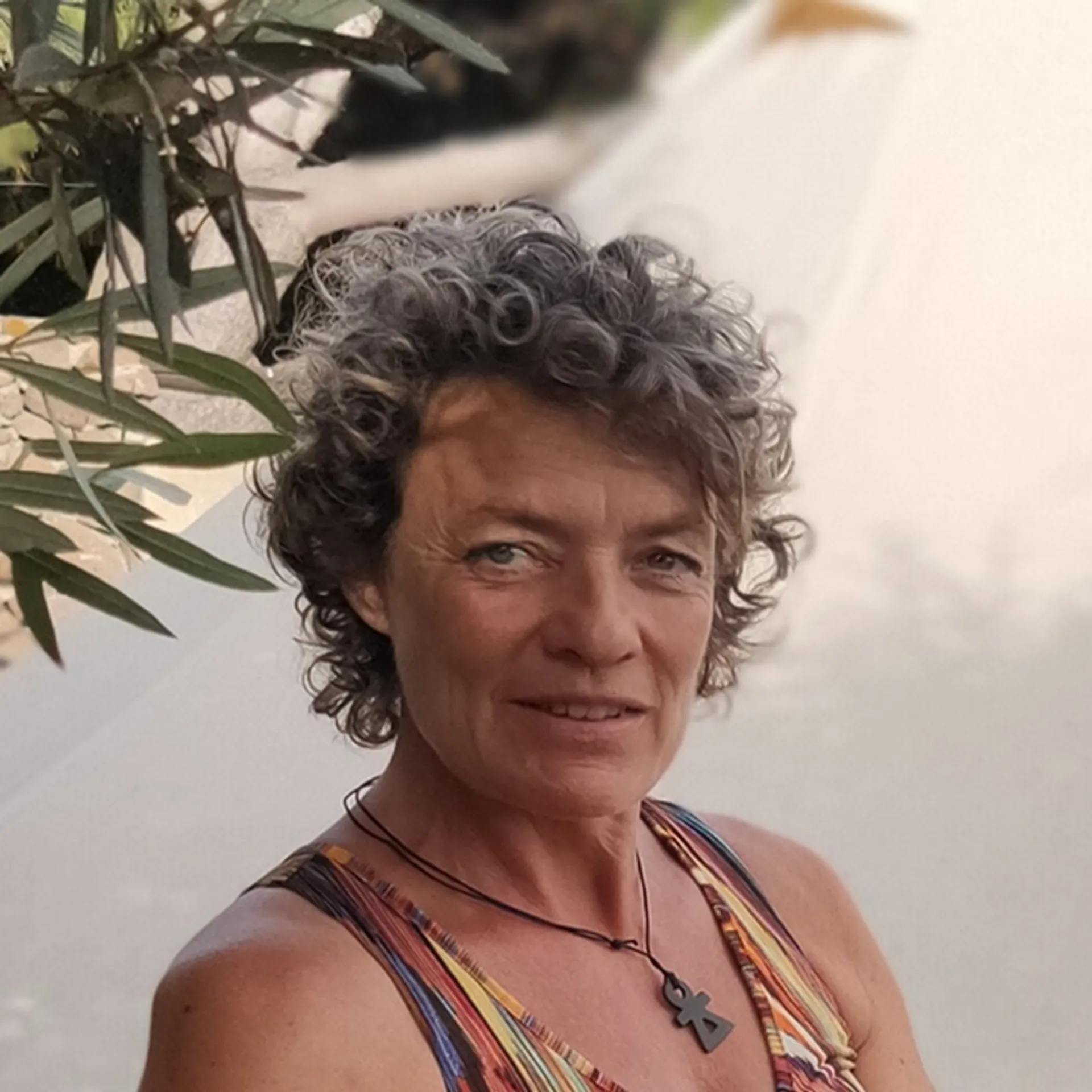 Sunny mind travel