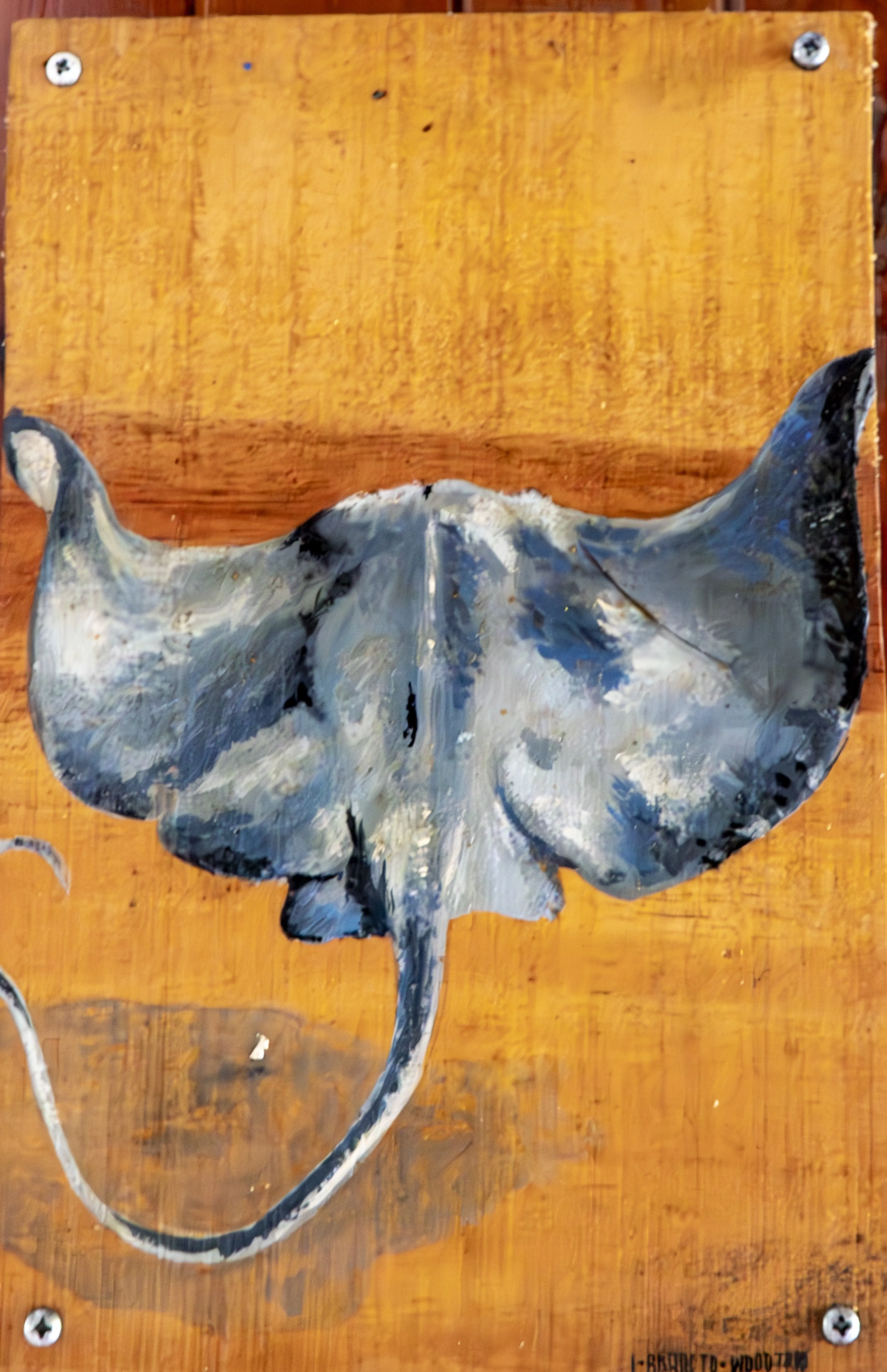 Manta - 2