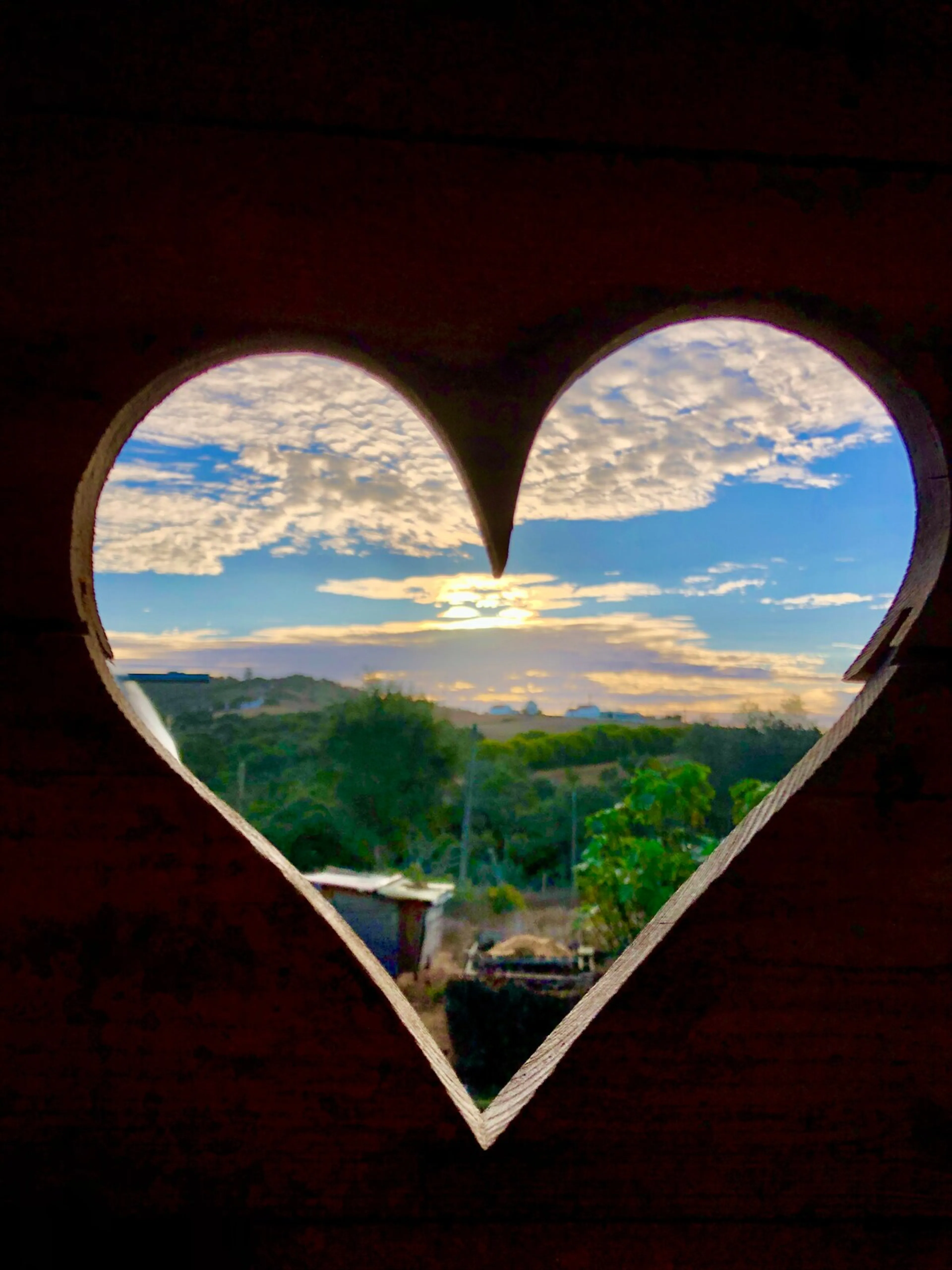 DHL Truck „Sunny“ - 3