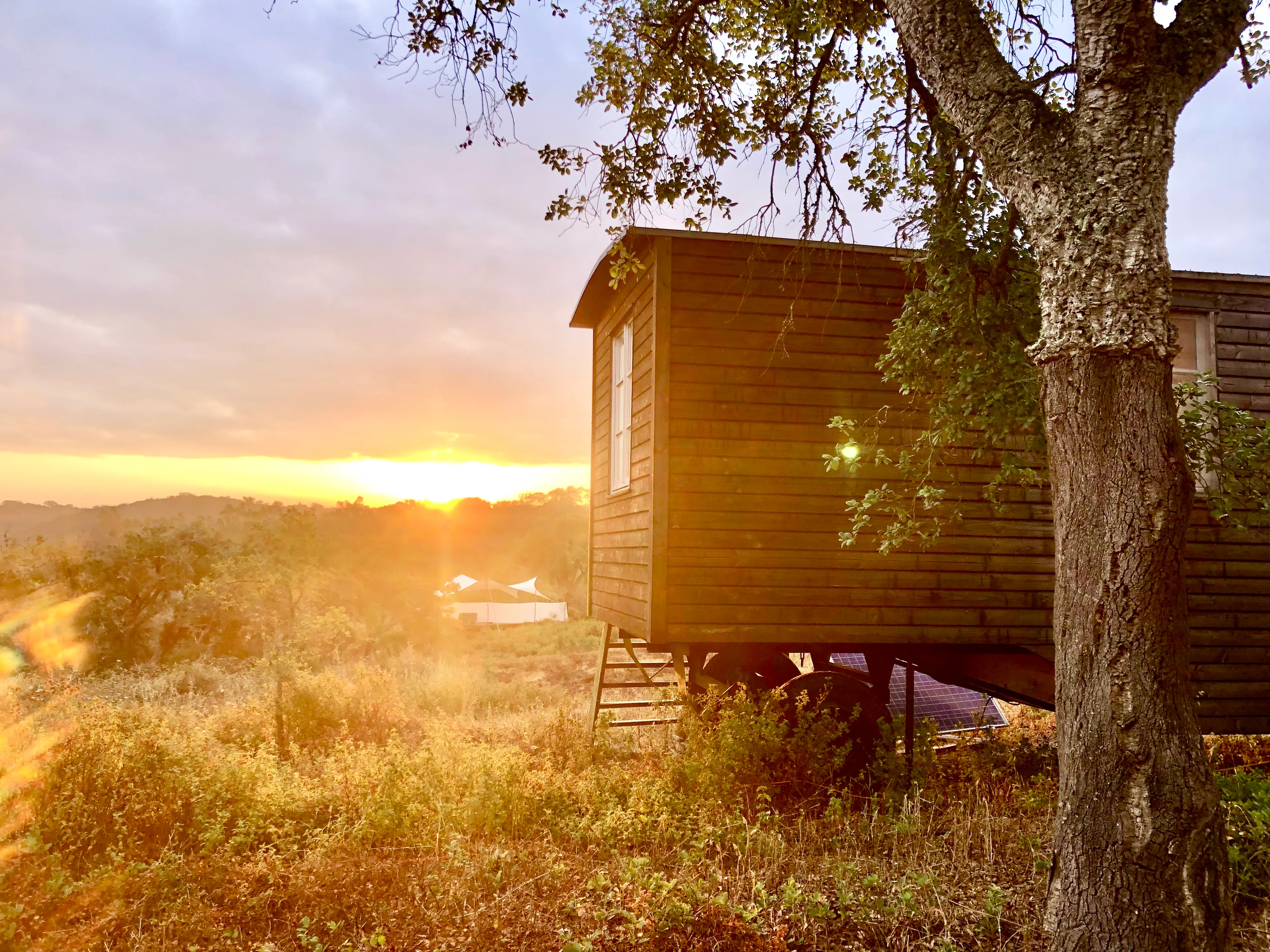Tiny Houses - 14
