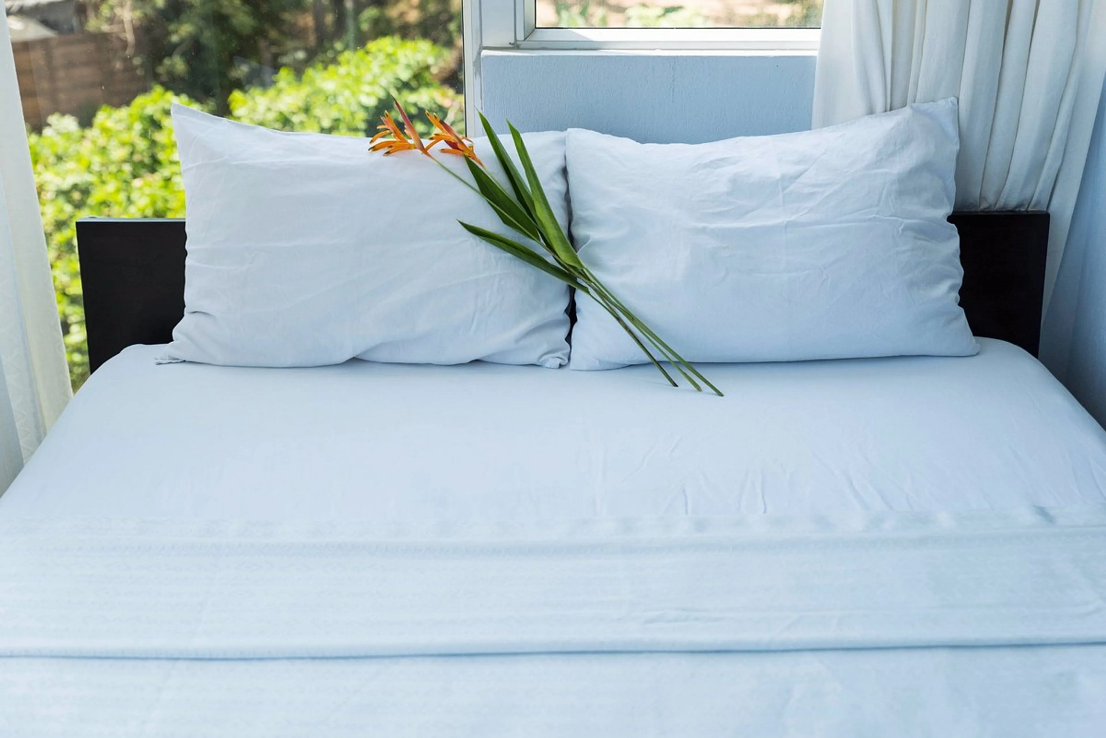 Privatzimmer En-Suite - 5