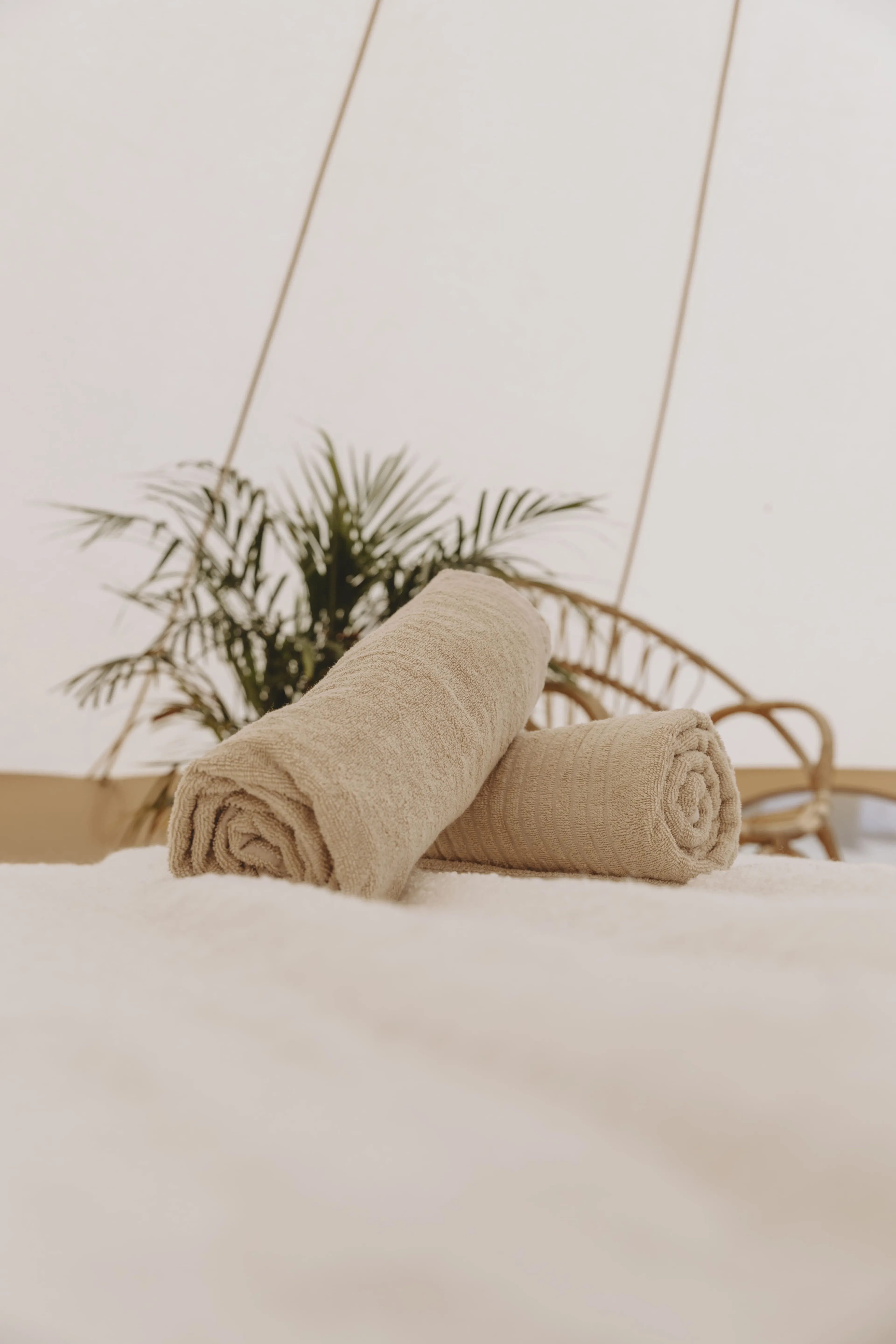 Privates Glamping Zelt für Lehrer:innen - 6