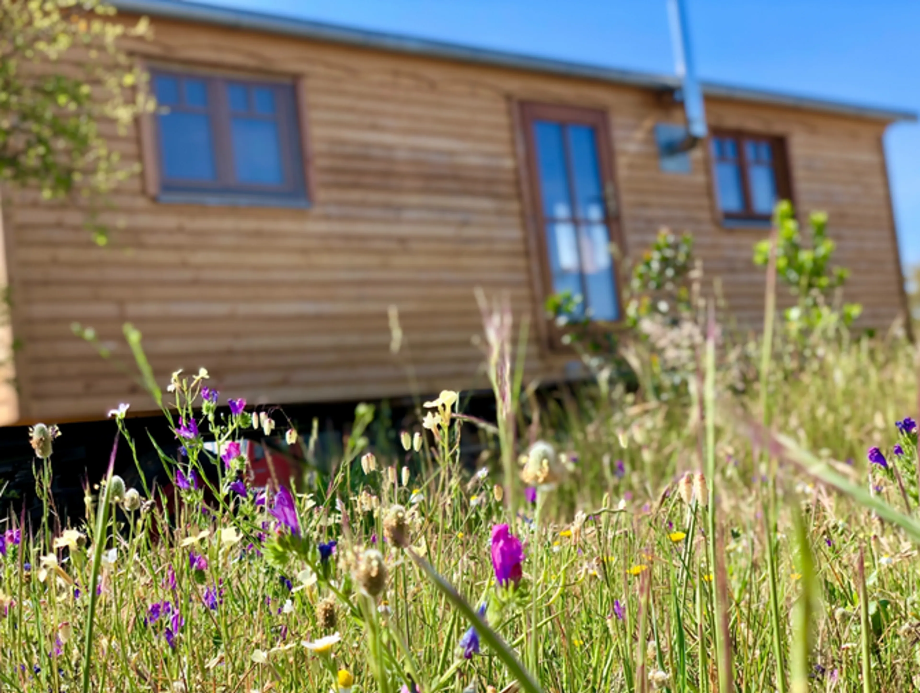 Tiny Houses - 16
