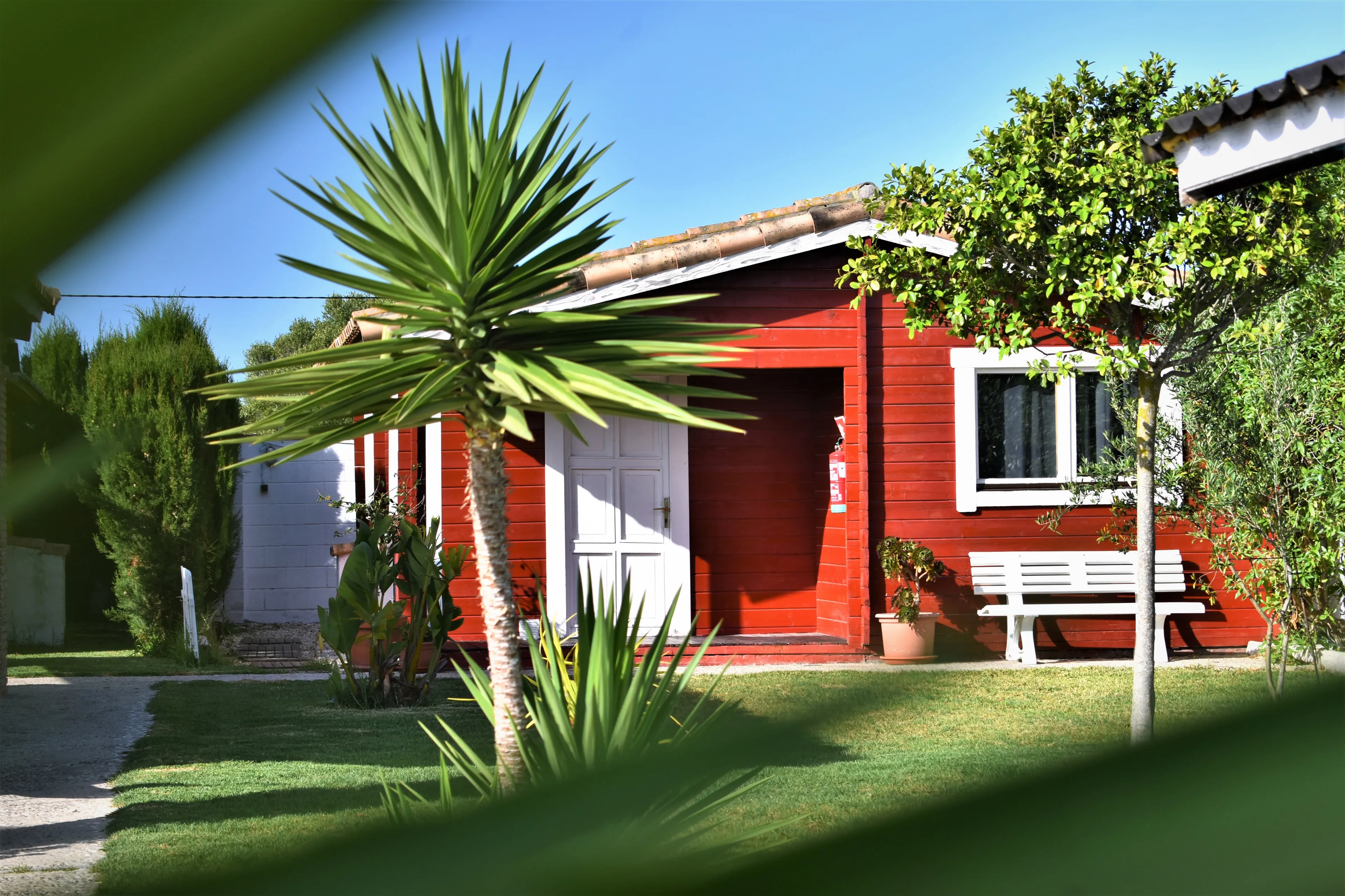 Bungalow Arena - 3